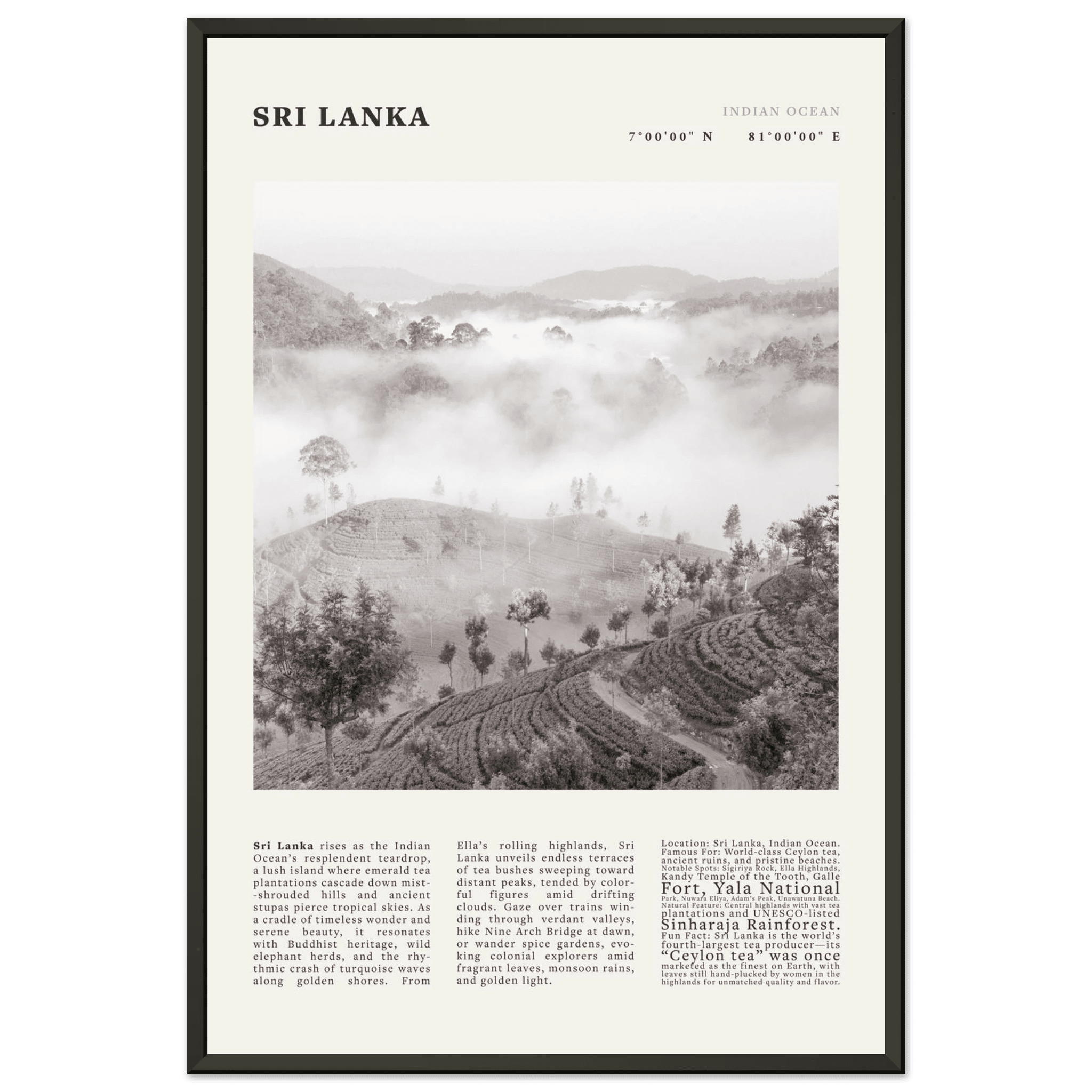 Sri Lanka Poster Black and White – Vintage Ceylon Tea Plantation Print (Digital & Printed Options) - Evergreen Posters