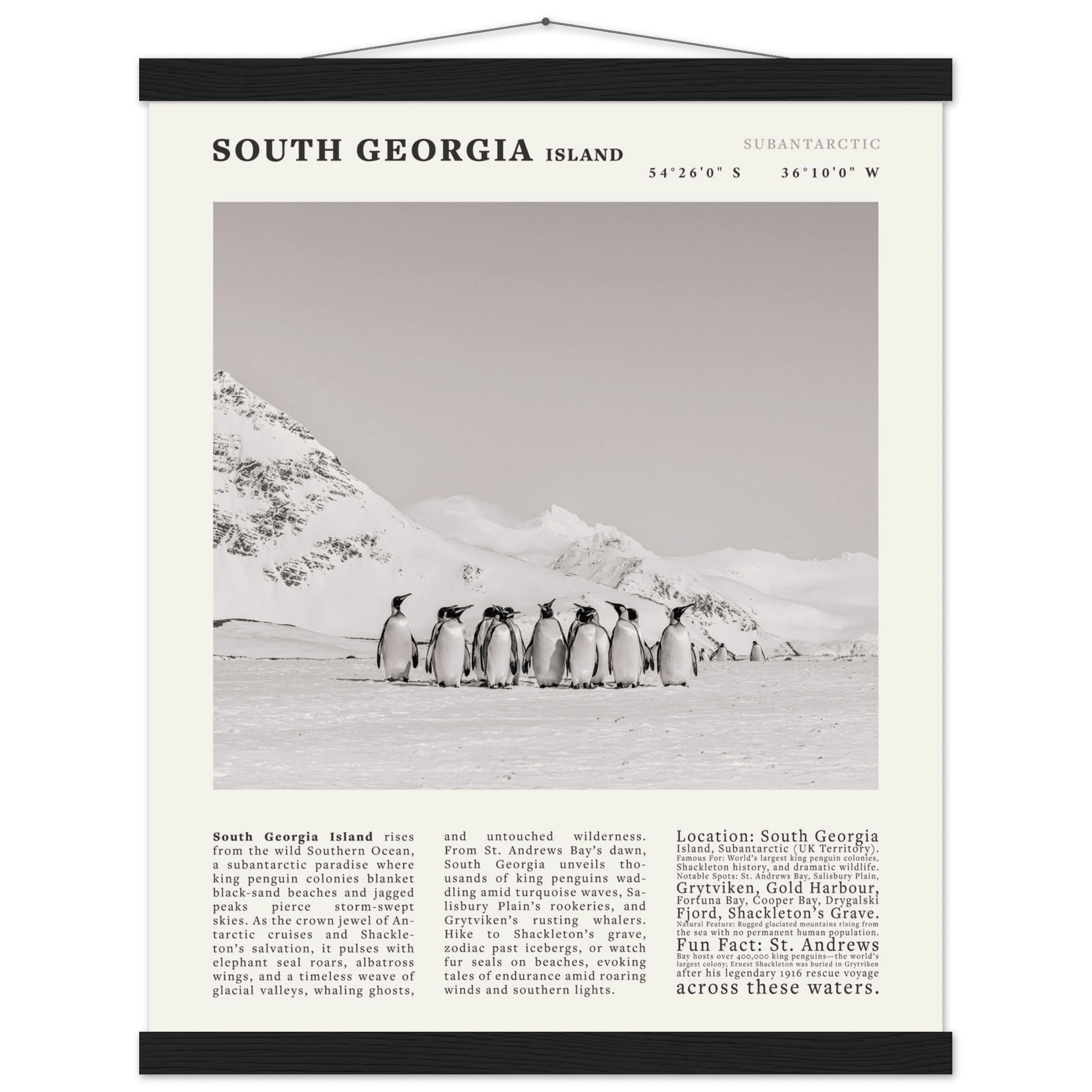 South Georgia Island Black and White Vintage Poster - Evergreen Posters
