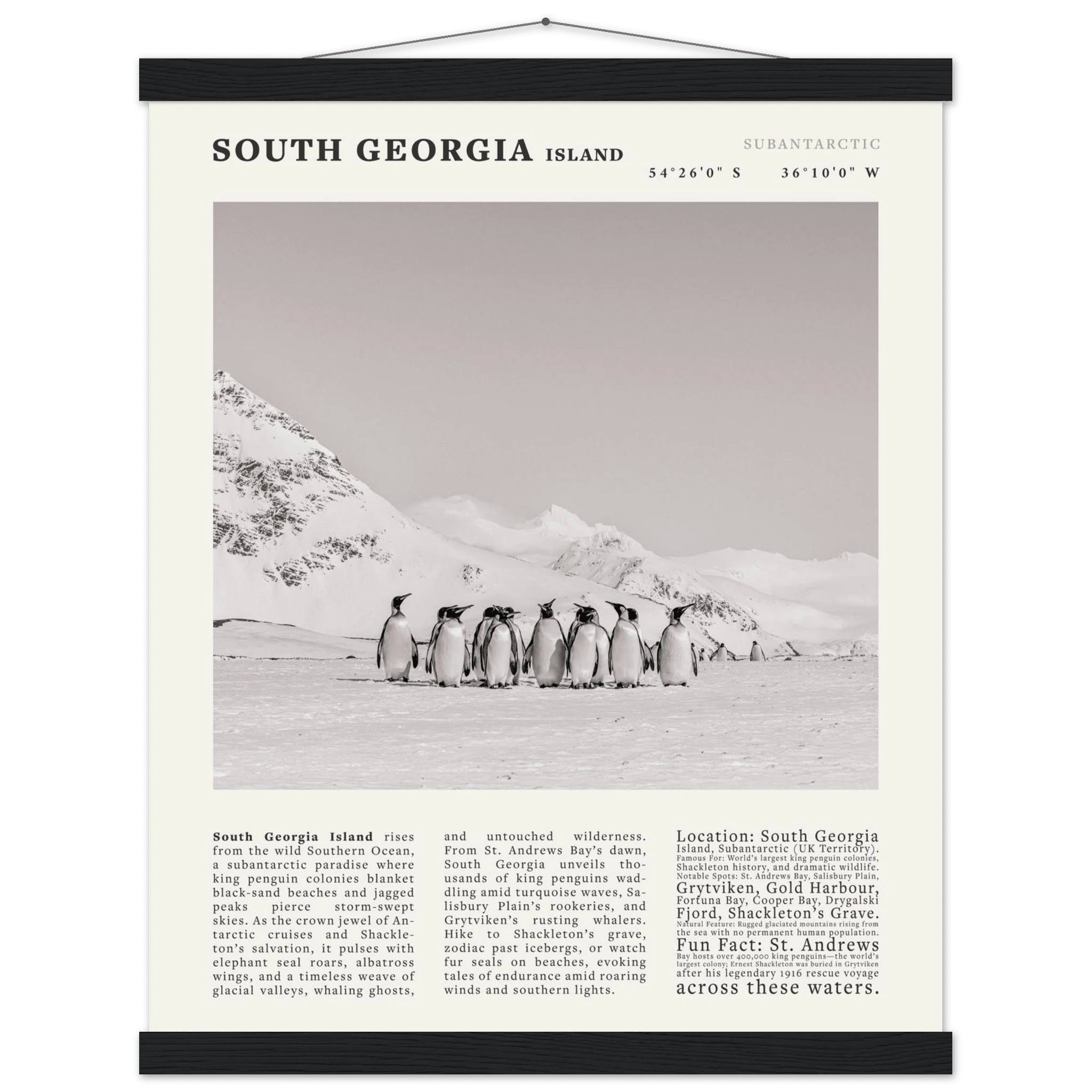 South Georgia Island Black and White Vintage Poster - Evergreen Posters
