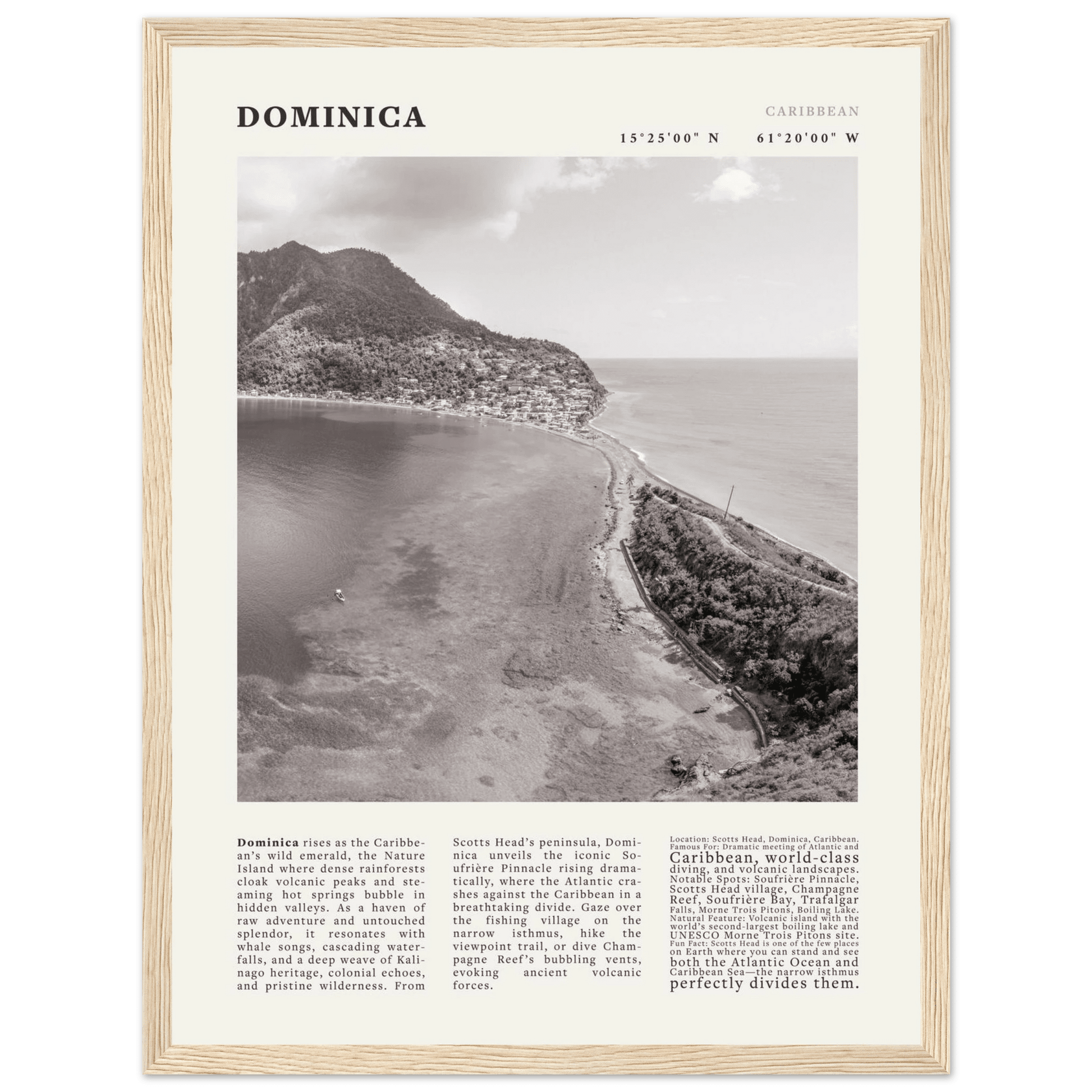 Dominica Poster Black and White – Vintage Caribbean Rainforest Island Print (Digital & Printed Options) - Evergreen Posters