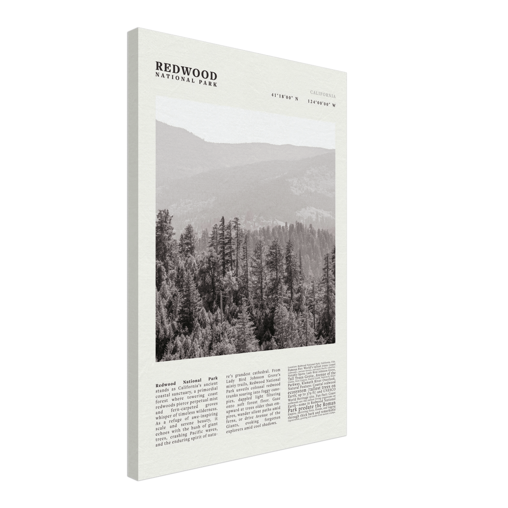 Redwood National Park Poster Black and White – Vintage Foggy Redwood Forest Print - Evergreen Posters