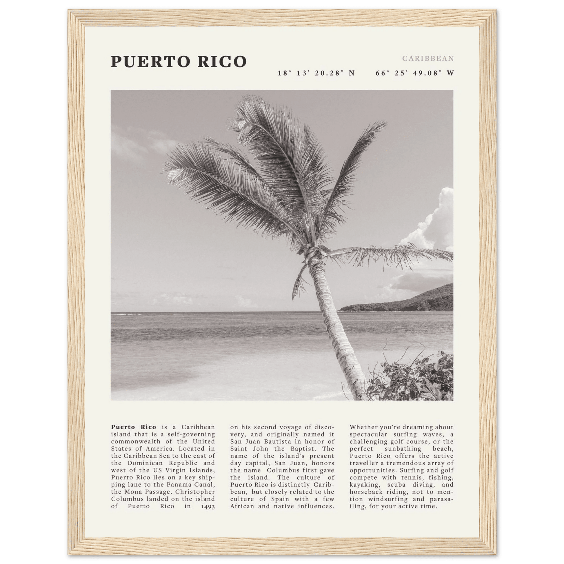 Puerto Rico Poster Black and White – Vintage Caribbean Palm Beach Print (Digital & Printed Options) - Evergreen Posters