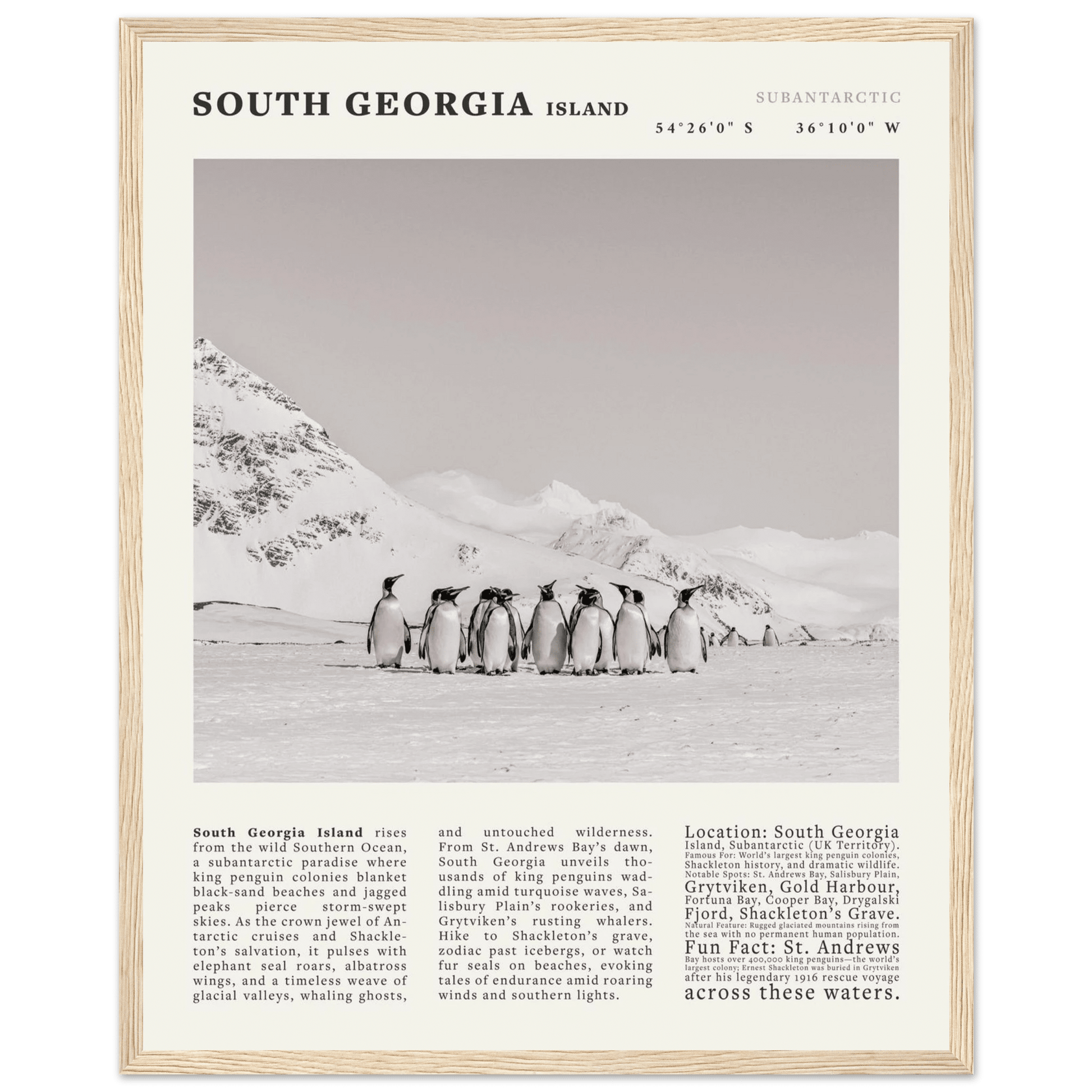 South Georgia Island Black and White Vintage Poster - Evergreen Posters