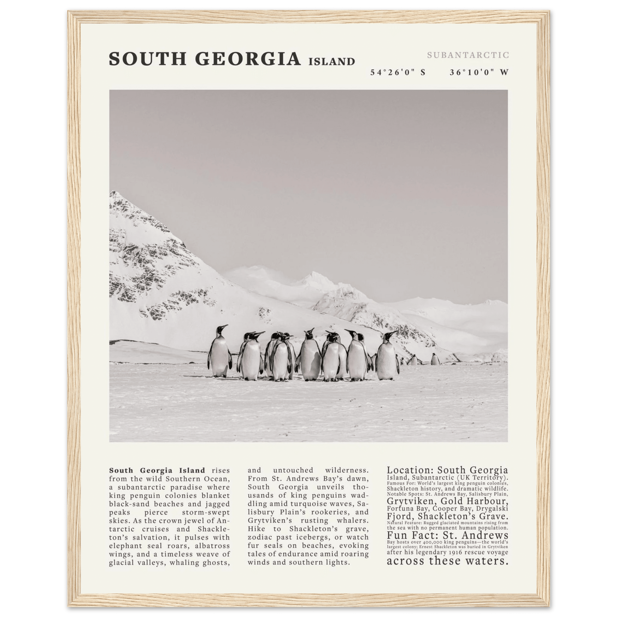 South Georgia Island Black and White Vintage Poster - Evergreen Posters