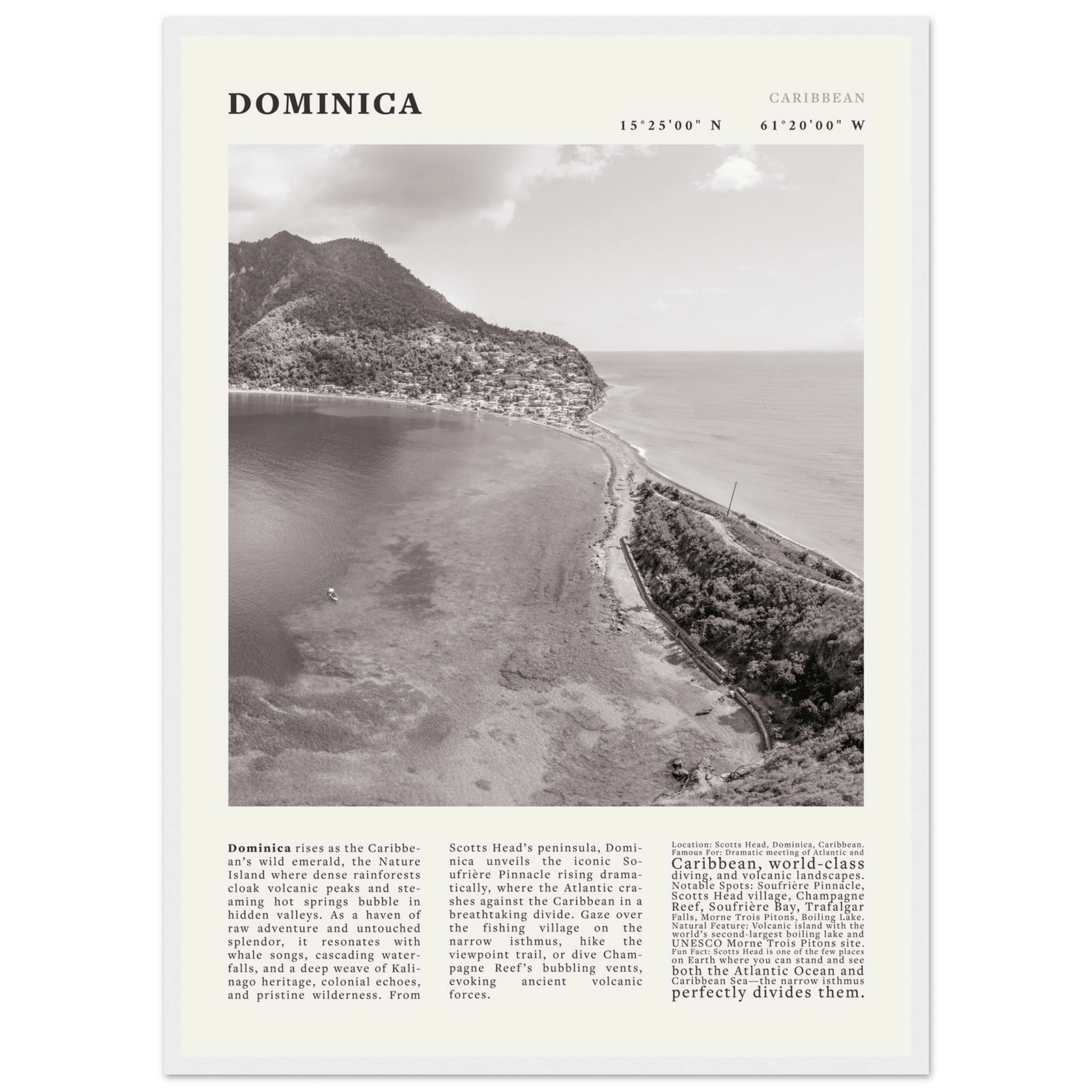 Dominica Poster Black and White – Vintage Caribbean Rainforest Island Print (Digital & Printed Options) - Evergreen Posters