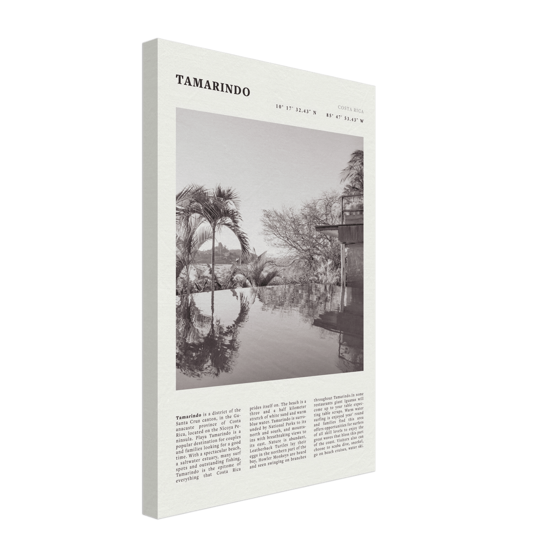 Tamarindo Poster | Black & White Costa Rica Beach Wall Art | Surf Travel Print - Evergreen Posters
