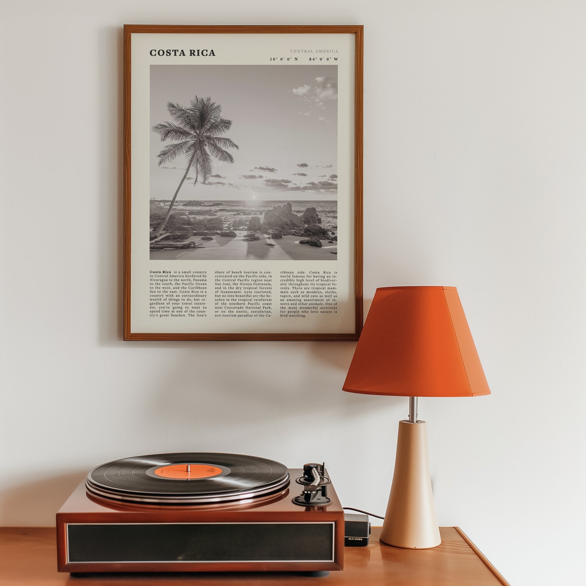 Costa Rica Poster | Black & White Palm Tree Beach Wall Art | Travel Print Decor - Evergreen Posters