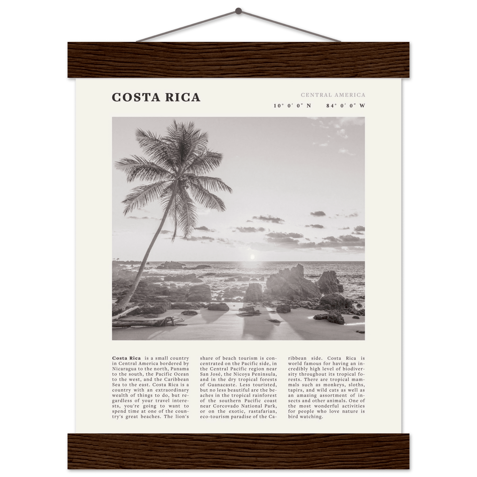 Costa Rica Poster | Black & White Palm Tree Beach Wall Art | Travel Print Decor - Evergreen Posters