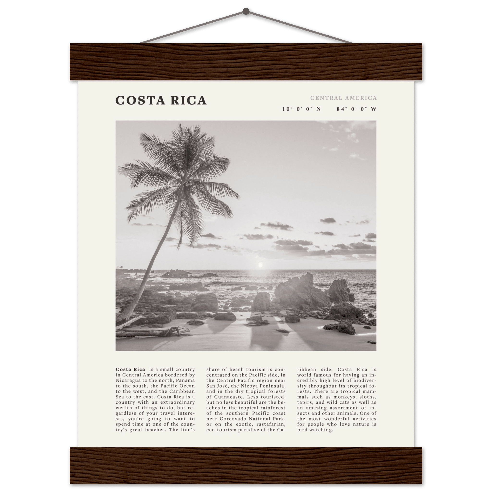 Costa Rica Poster | Black & White Palm Tree Beach Wall Art | Travel Print Decor - Evergreen Posters