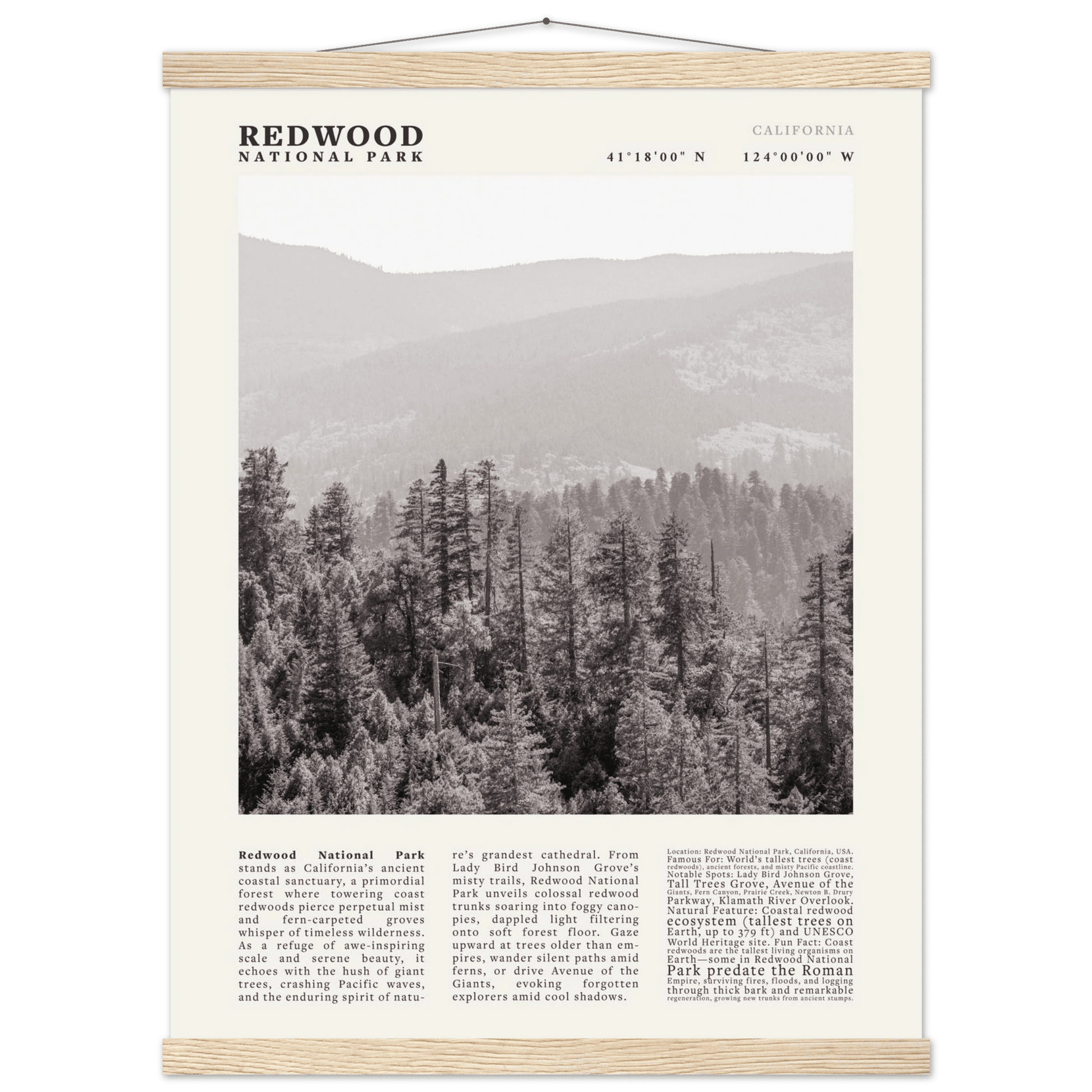 Redwood National Park Poster Black and White – Vintage Foggy Redwood Forest Print - Evergreen Posters