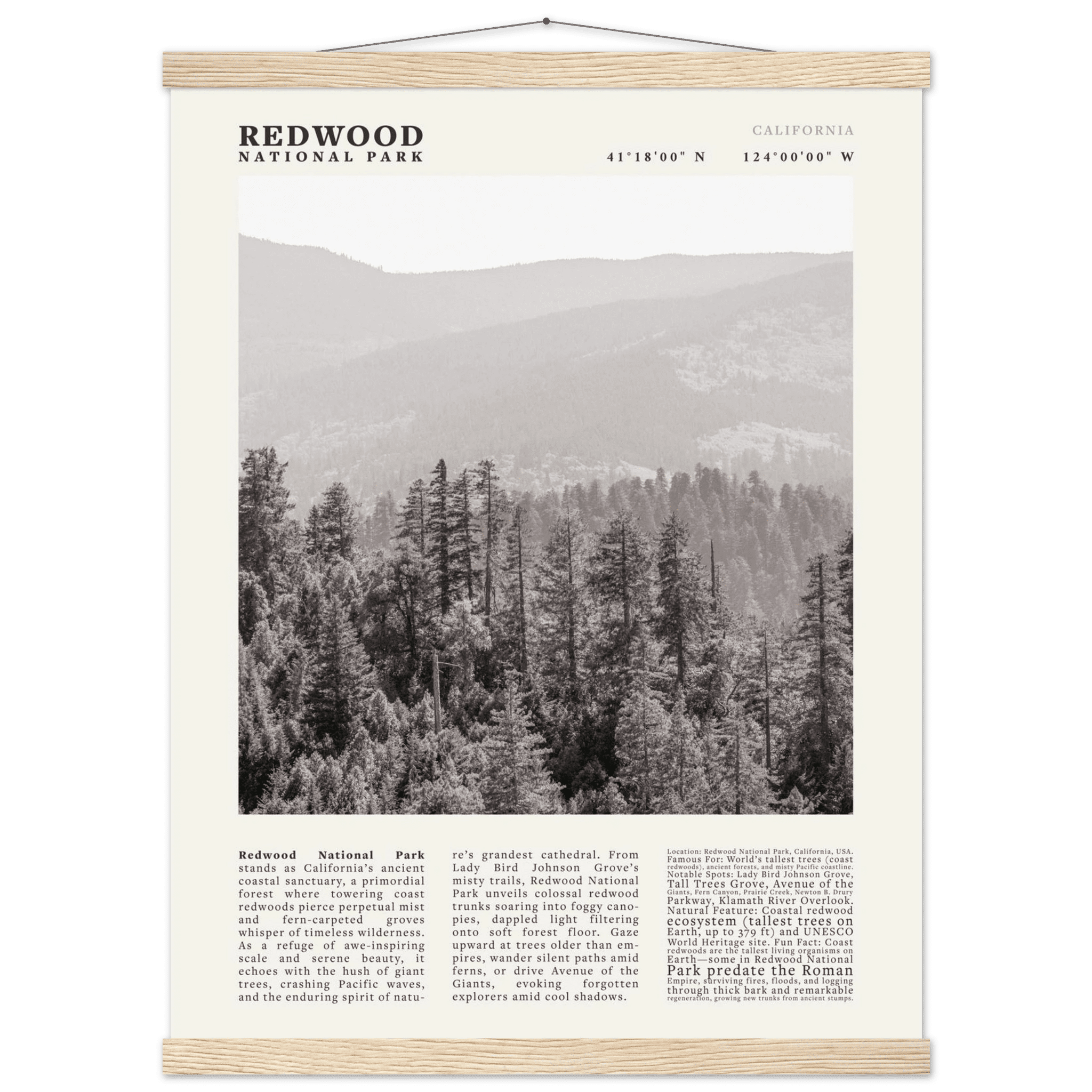 Redwood National Park Poster Black and White – Vintage Foggy Redwood Forest Print - Evergreen Posters