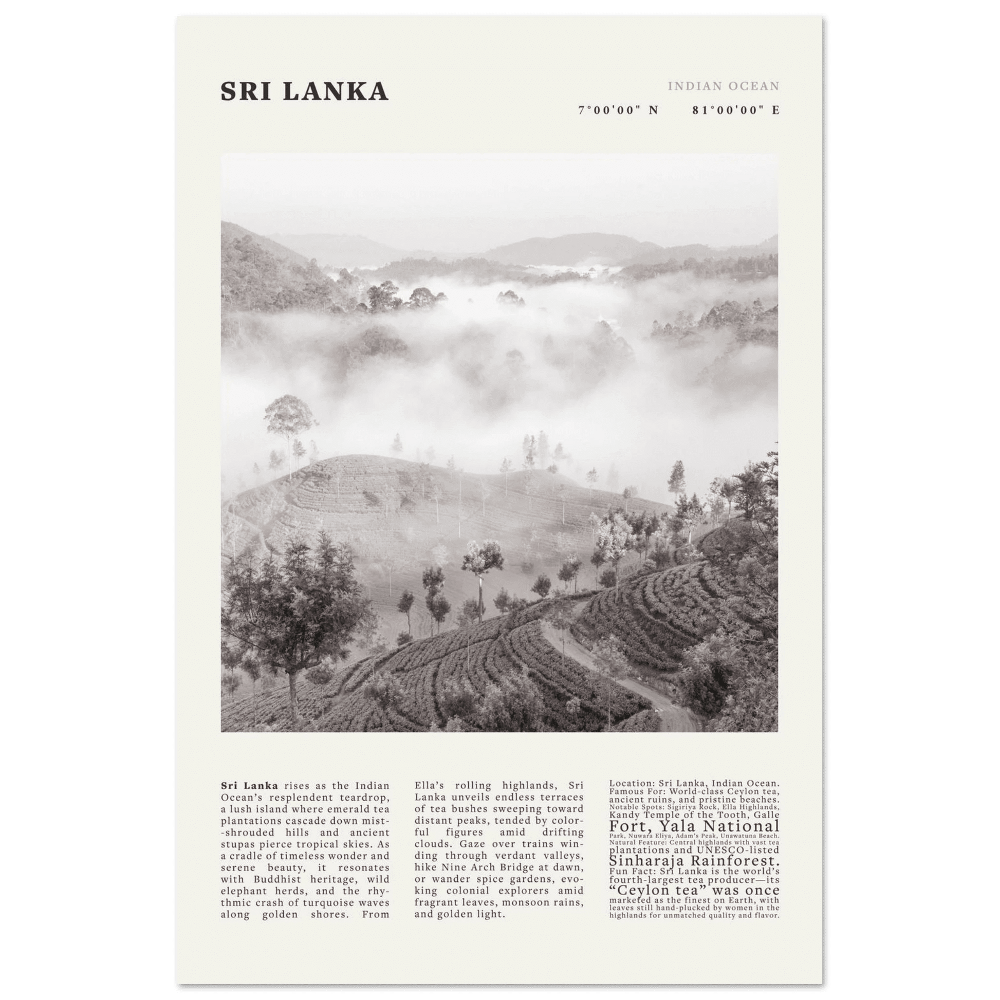 Sri Lanka Poster Black and White – Vintage Ceylon Tea Plantation Print (Digital & Printed Options) - Evergreen Posters
