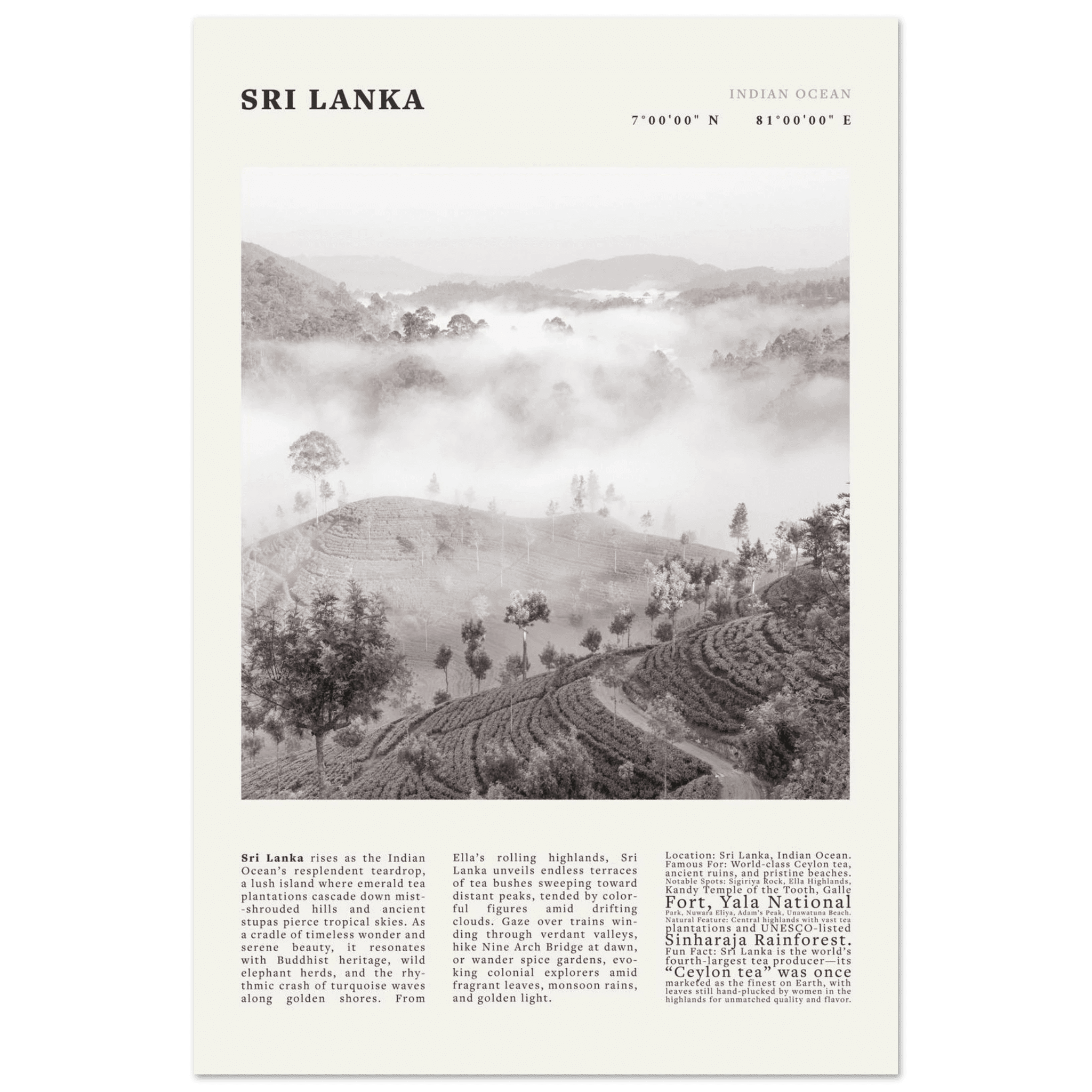 Sri Lanka Poster Black and White – Vintage Ceylon Tea Plantation Print (Digital & Printed Options) - Evergreen Posters