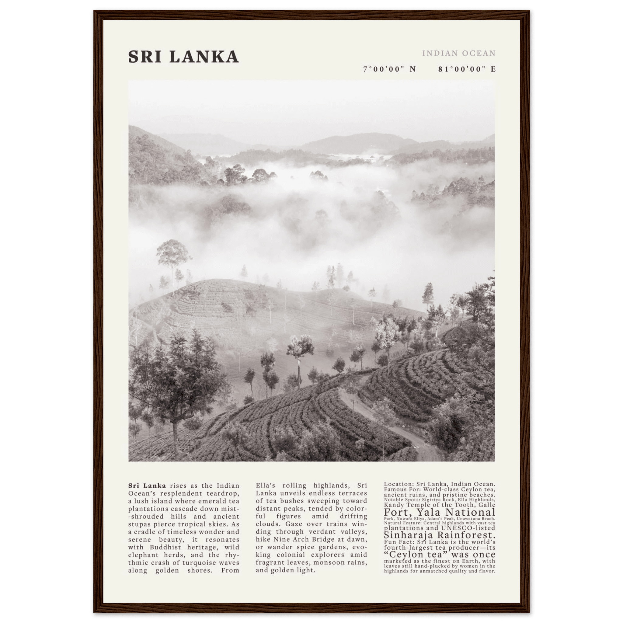 Sri Lanka Poster Black and White – Vintage Ceylon Tea Plantation Print (Digital & Printed Options) - Evergreen Posters