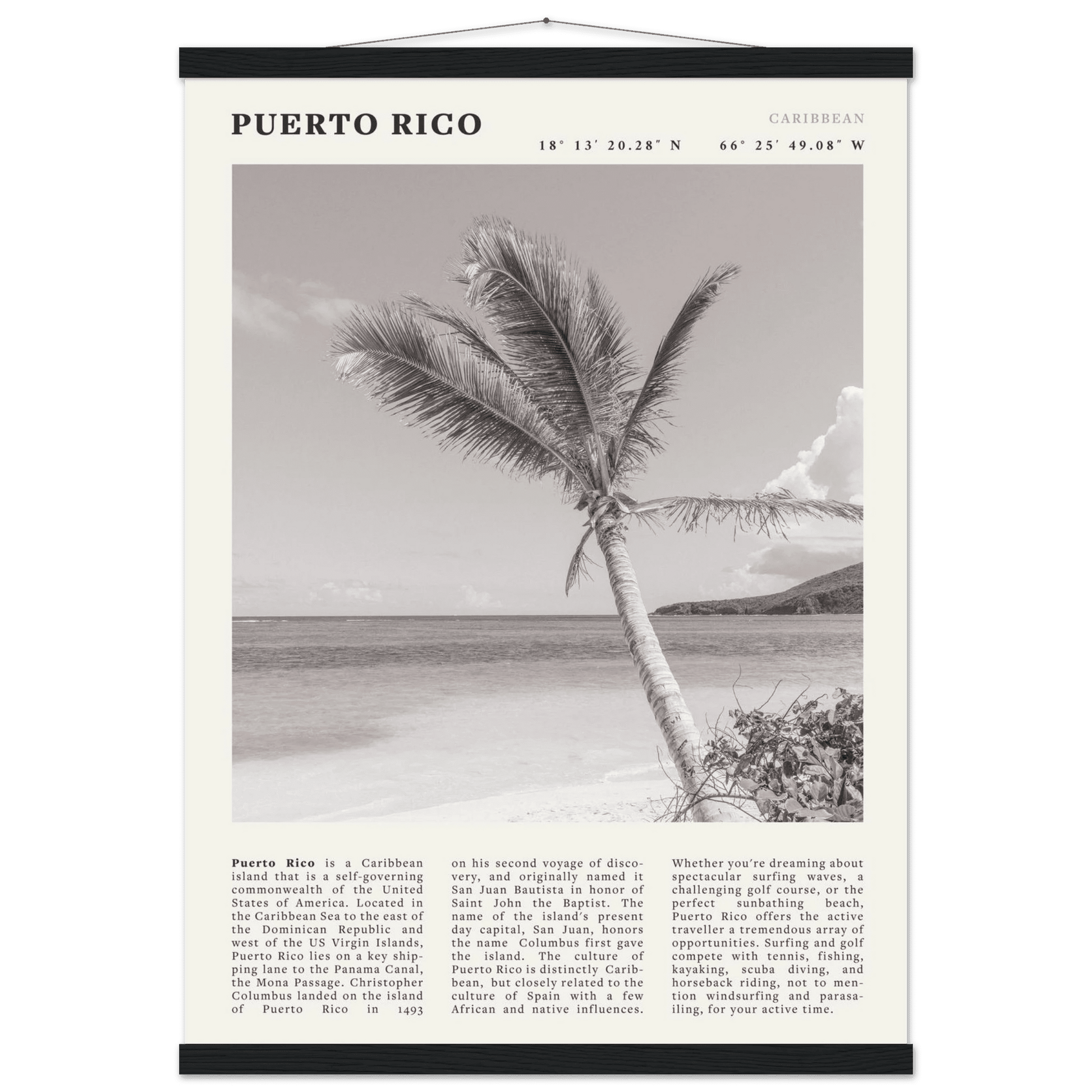 Puerto Rico Poster Black and White – Vintage Caribbean Palm Beach Print (Digital & Printed Options) - Evergreen Posters