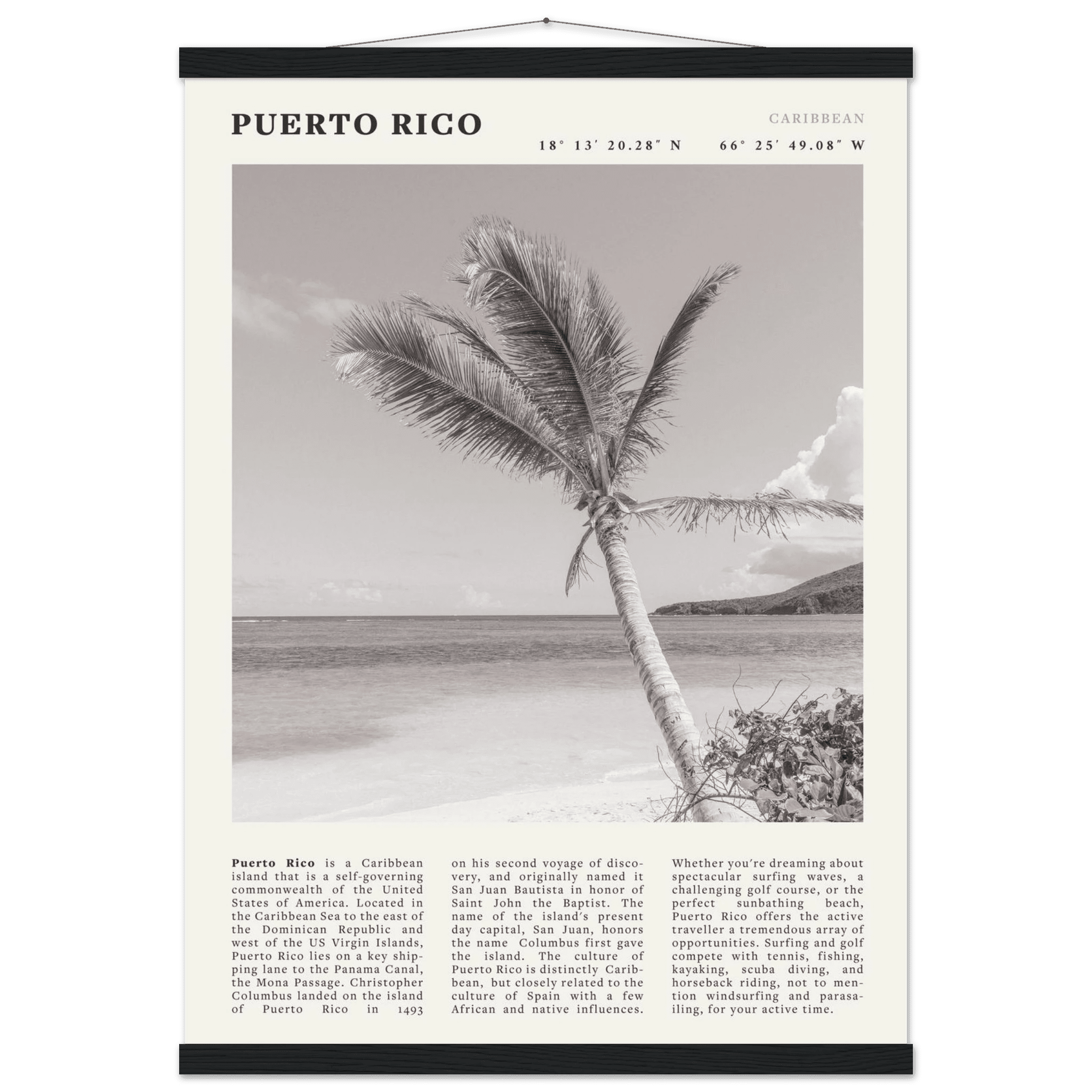 Puerto Rico Poster Black and White – Vintage Caribbean Palm Beach Print (Digital & Printed Options) - Evergreen Posters