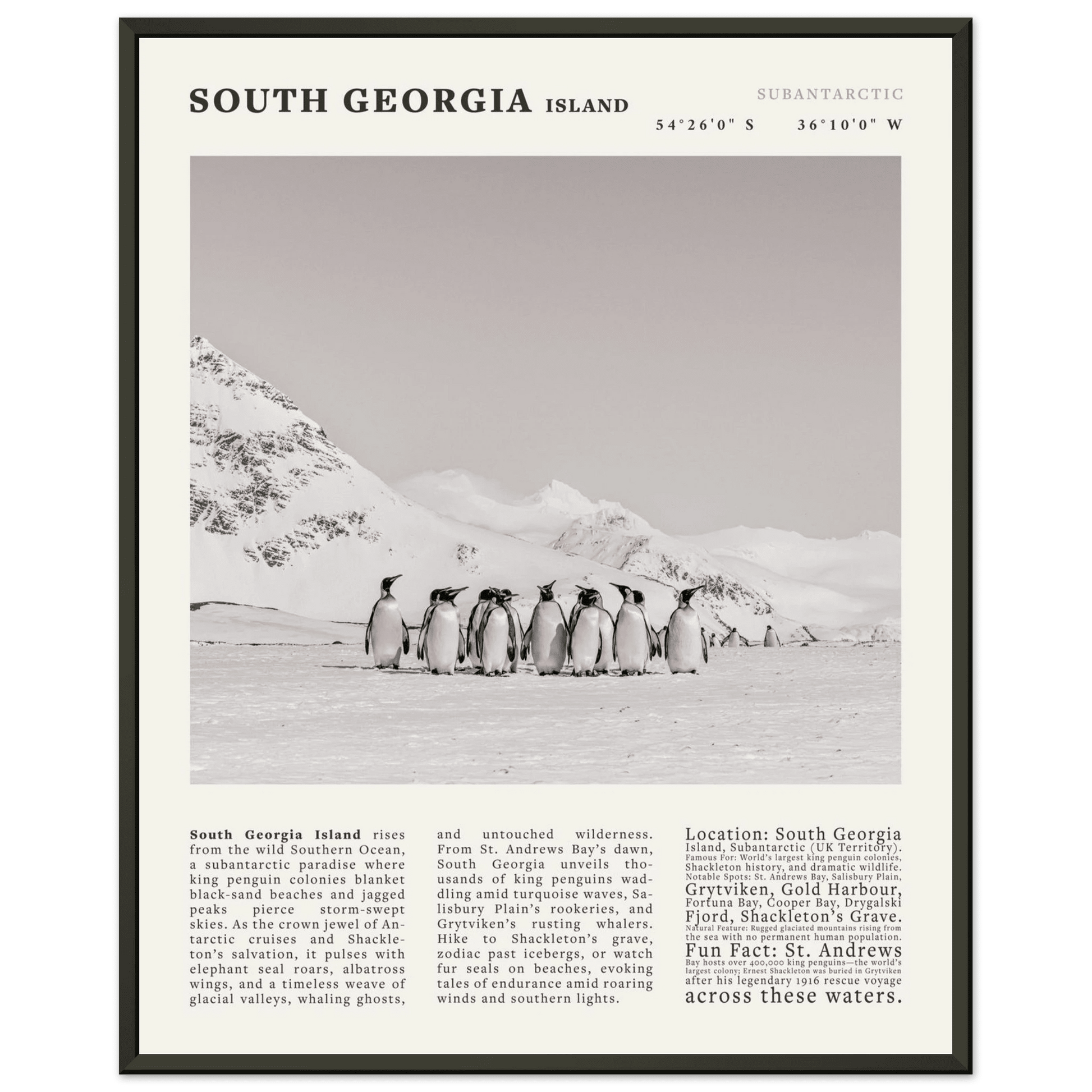 South Georgia Island Black and White Vintage Poster - Evergreen Posters