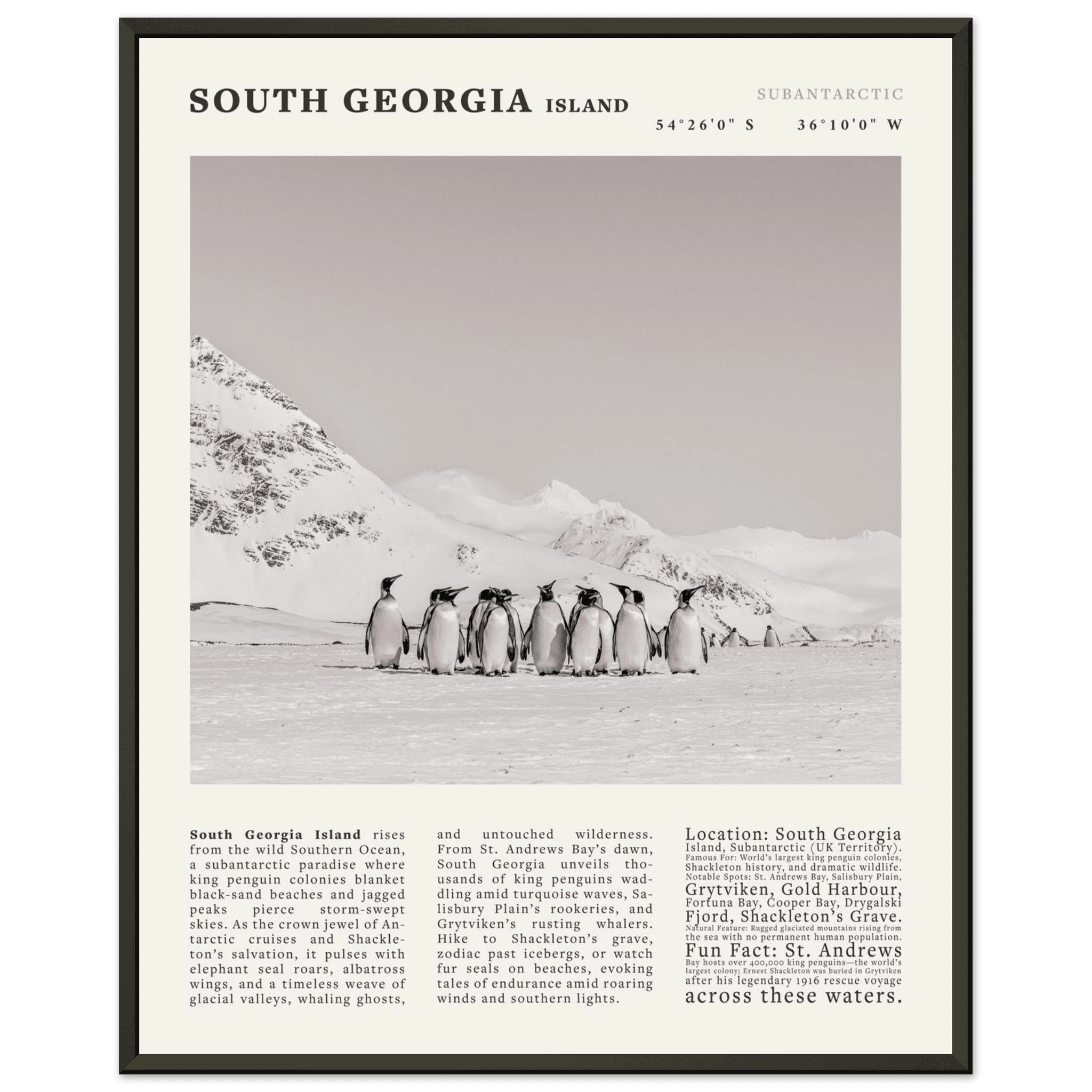 South Georgia Island Black and White Vintage Poster - Evergreen Posters