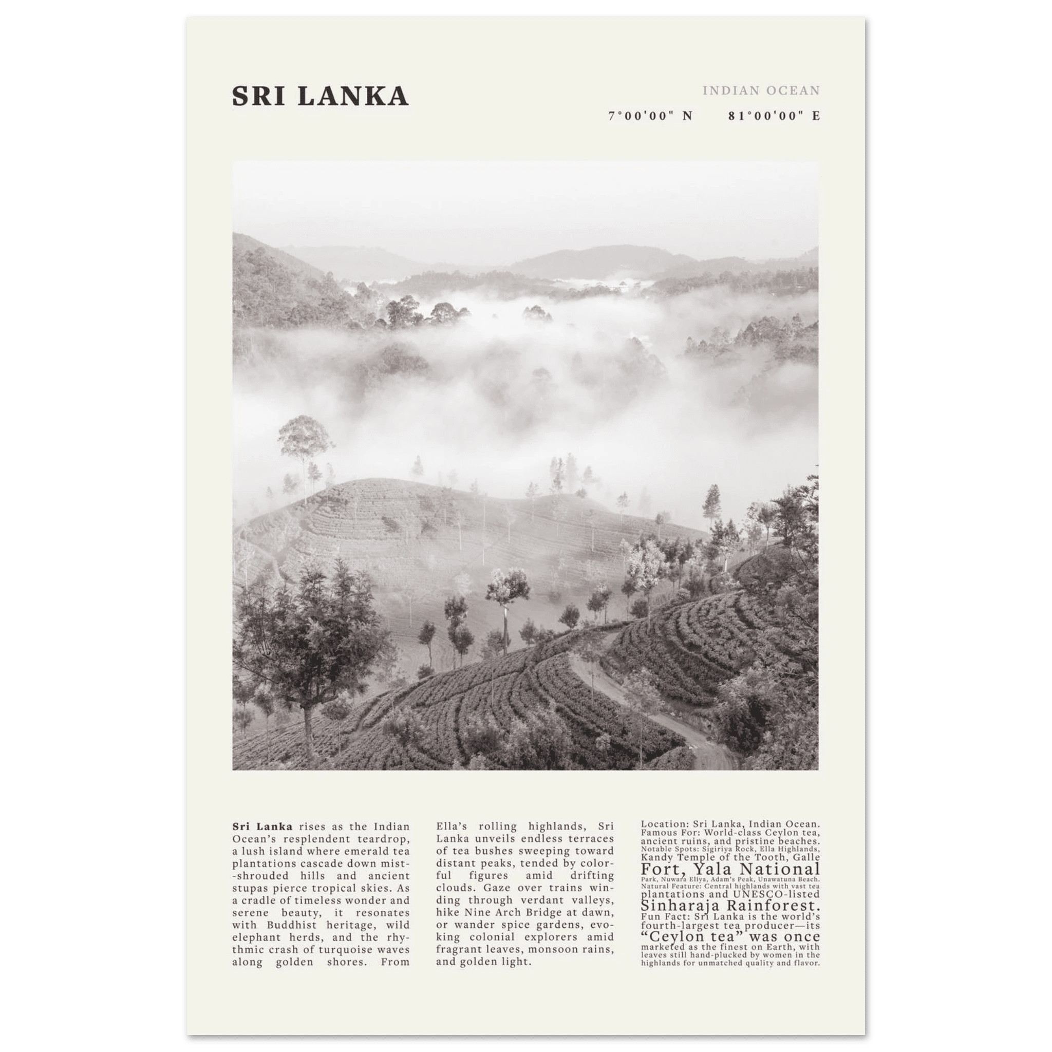 Sri Lanka Poster Black and White – Vintage Ceylon Tea Plantation Print (Digital & Printed Options) - Evergreen Posters