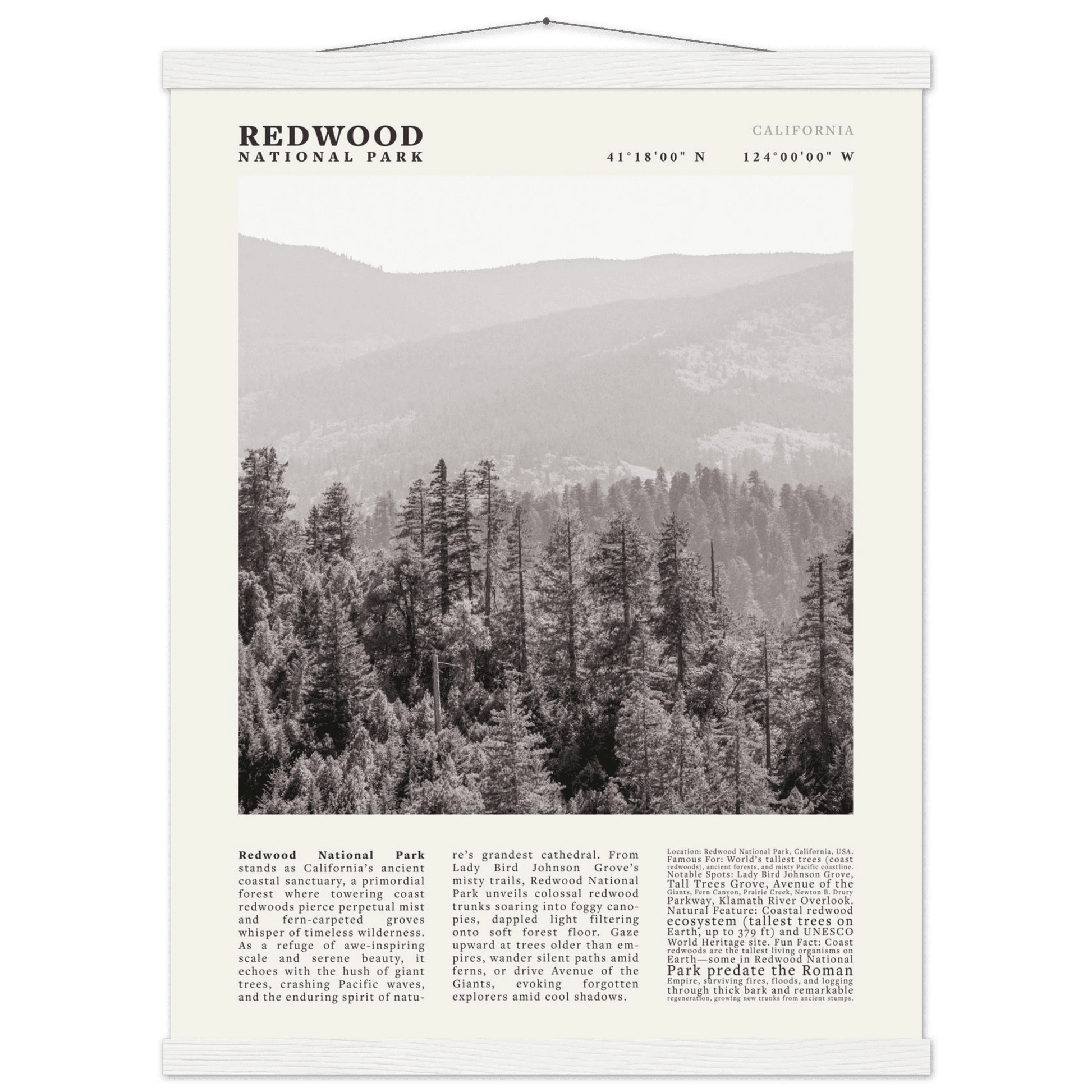 Redwood National Park Poster Black and White – Vintage Foggy Redwood Forest Print - Evergreen Posters