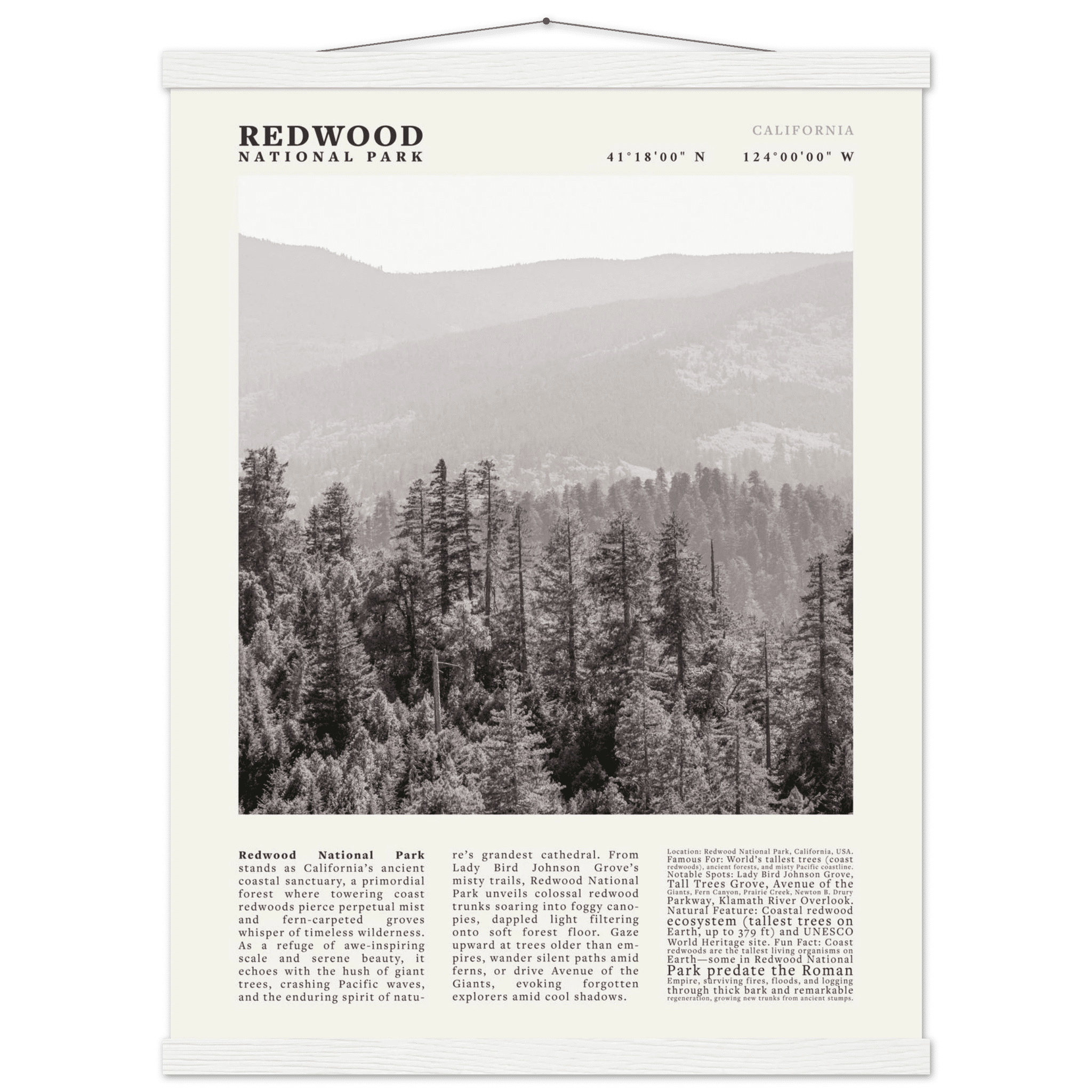 Redwood National Park Poster Black and White – Vintage Foggy Redwood Forest Print - Evergreen Posters