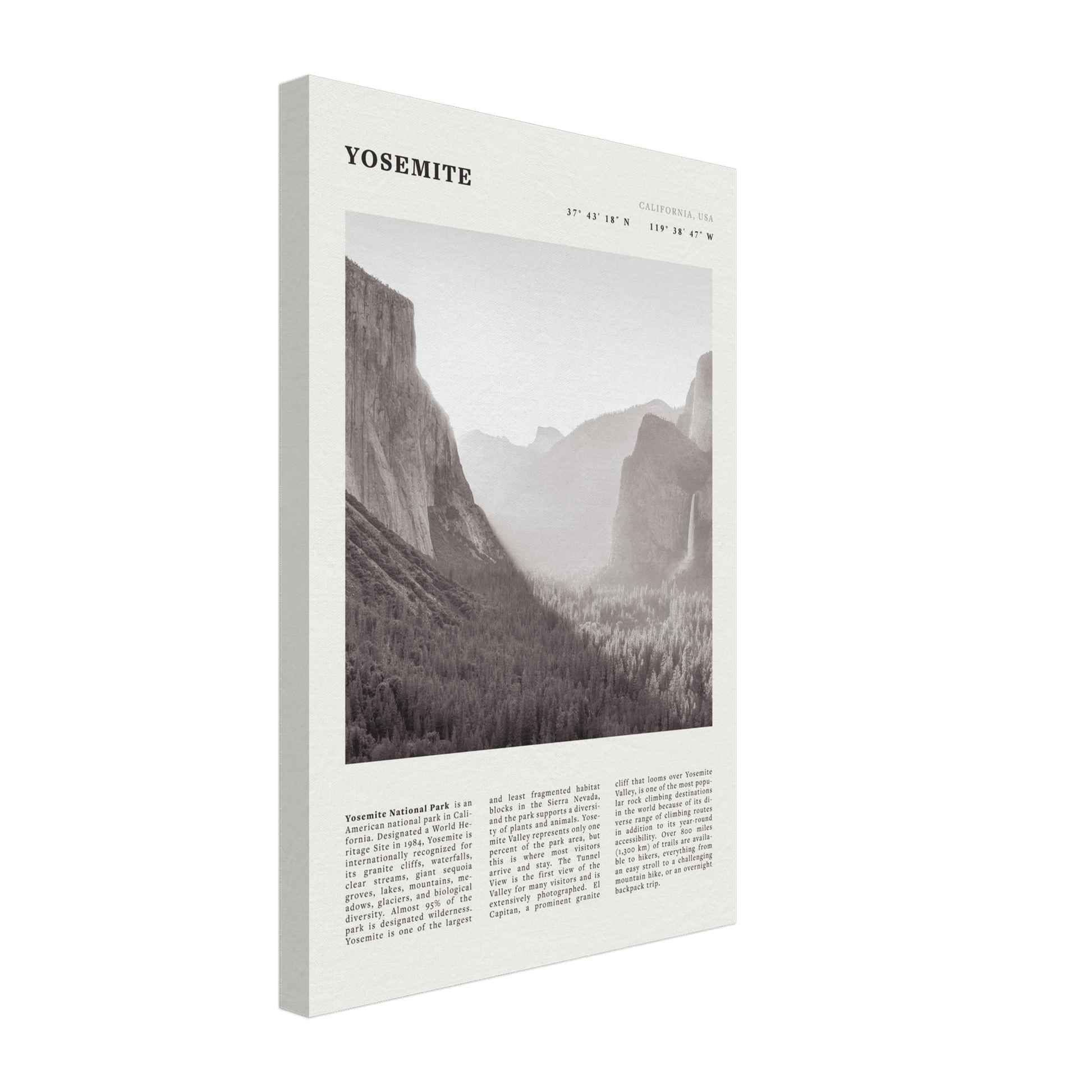 Yosemite Poster | Black & White National Park Wall Art | California Nature Print - Evergreen Posters