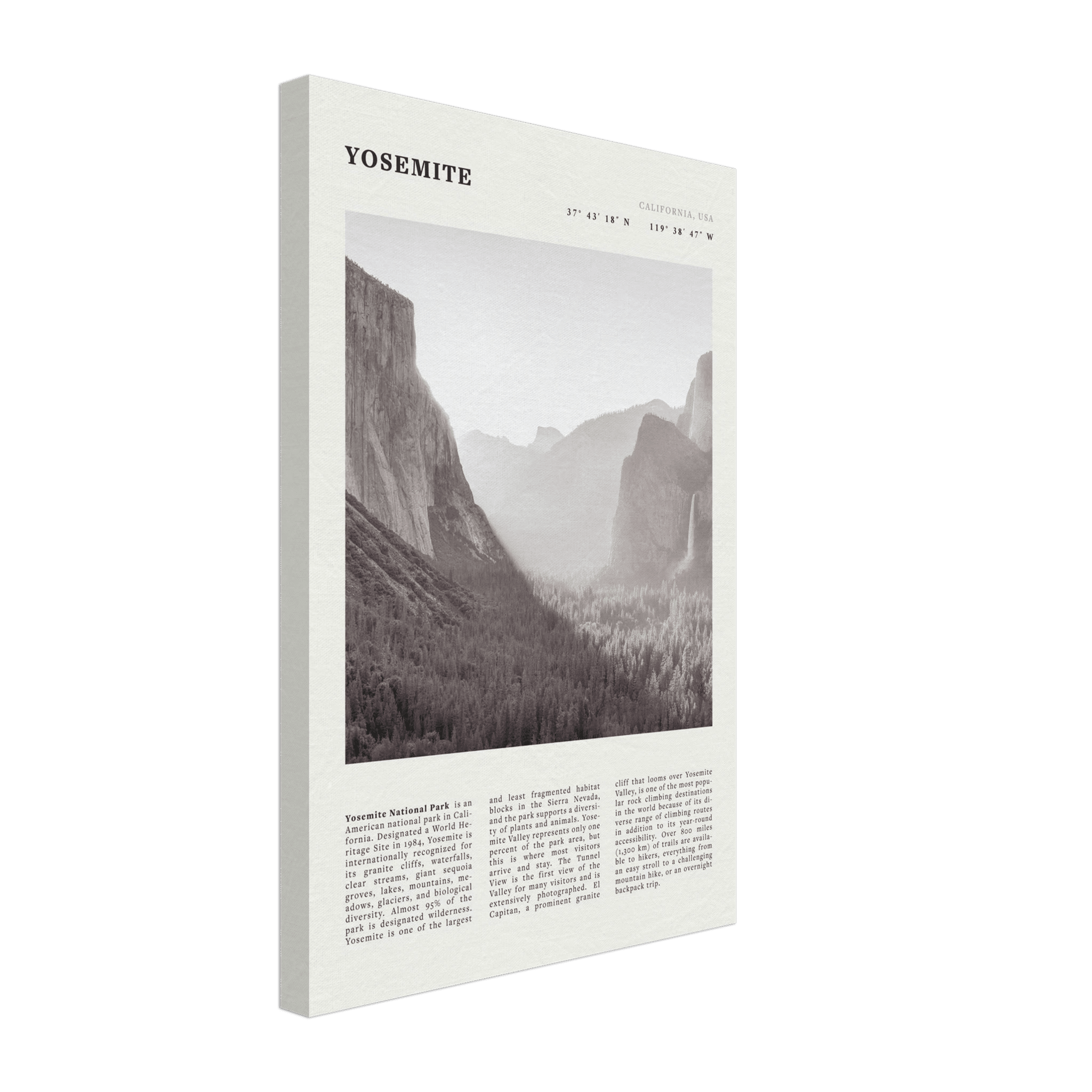 Yosemite Poster | Black & White National Park Wall Art | California Nature Print - Evergreen Posters