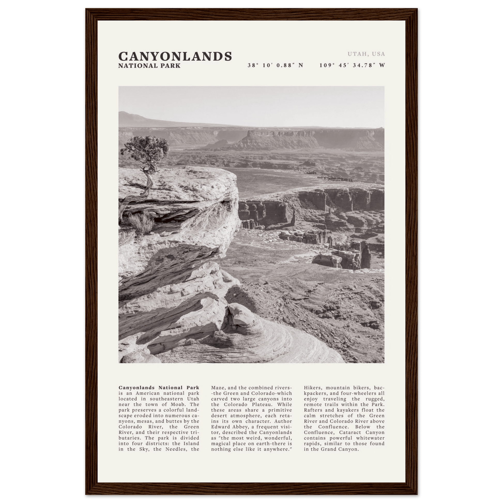Canyonlands National Park Poster | Black & White Utah Wall Art | Canyon Travel Print - Evergreen Posters