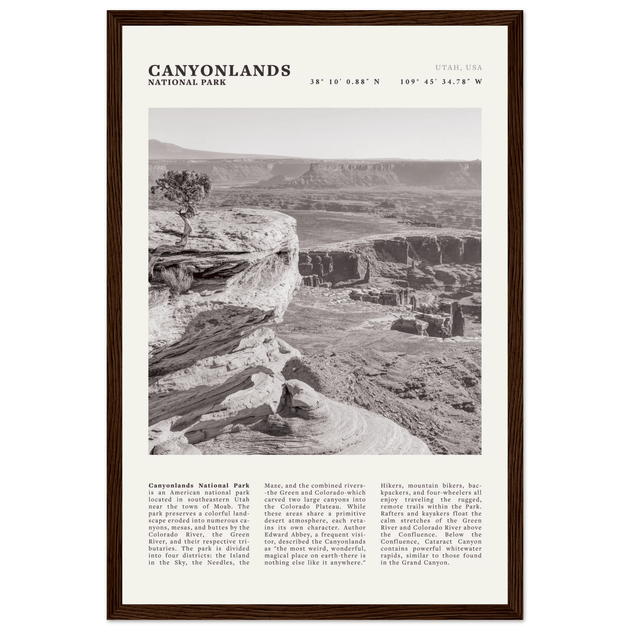 Canyonlands National Park Poster | Black & White Utah Wall Art | Canyon Travel Print - Evergreen Posters