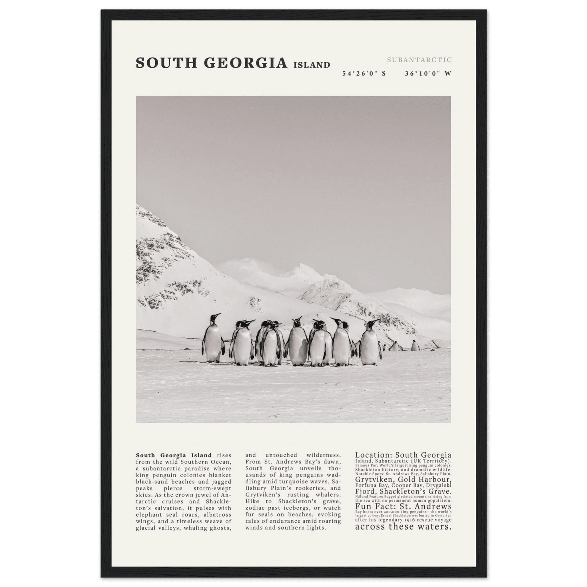 South Georgia Island Black and White Vintage Poster - Evergreen Posters
