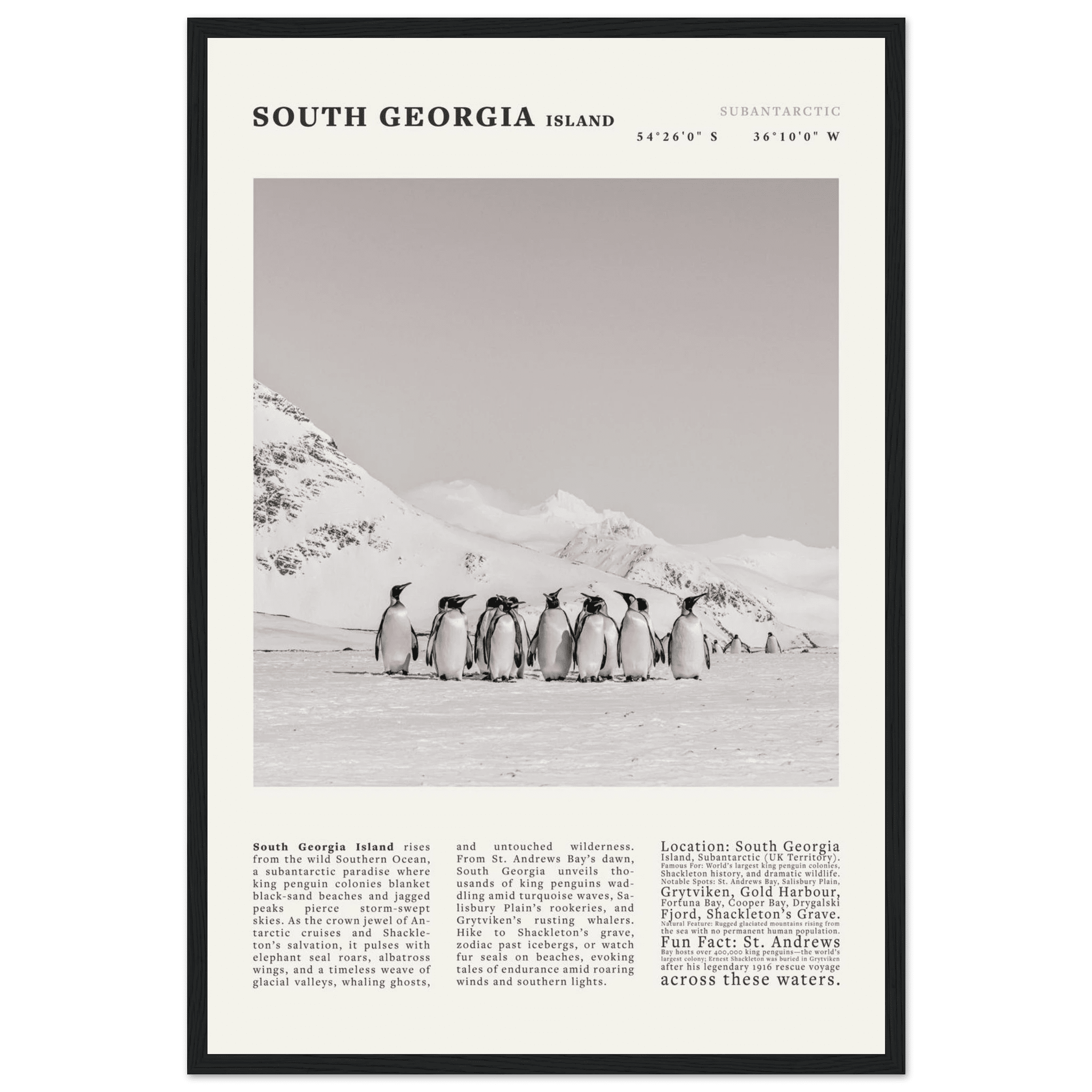 South Georgia Island Black and White Vintage Poster - Evergreen Posters