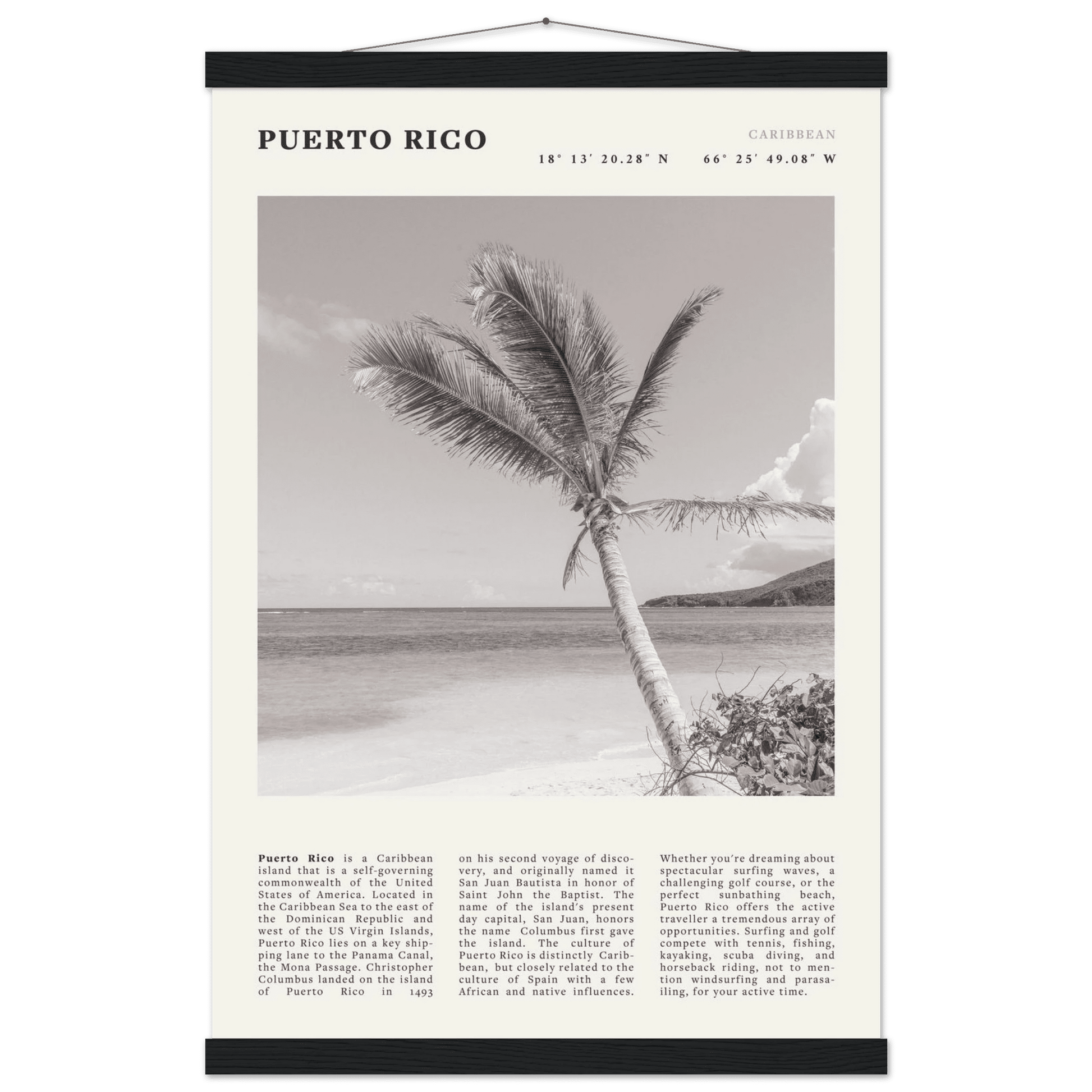 Puerto Rico Poster Black and White – Vintage Caribbean Palm Beach Print (Digital & Printed Options) - Evergreen Posters