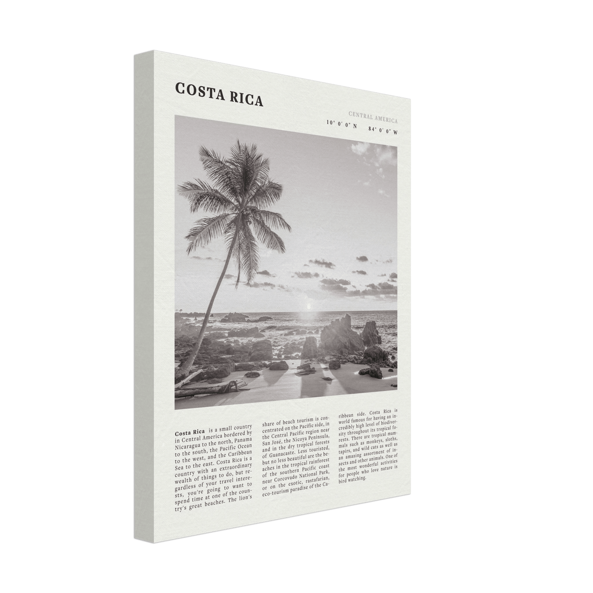 Costa Rica Poster | Black & White Palm Tree Beach Wall Art | Travel Print Decor - Evergreen Posters