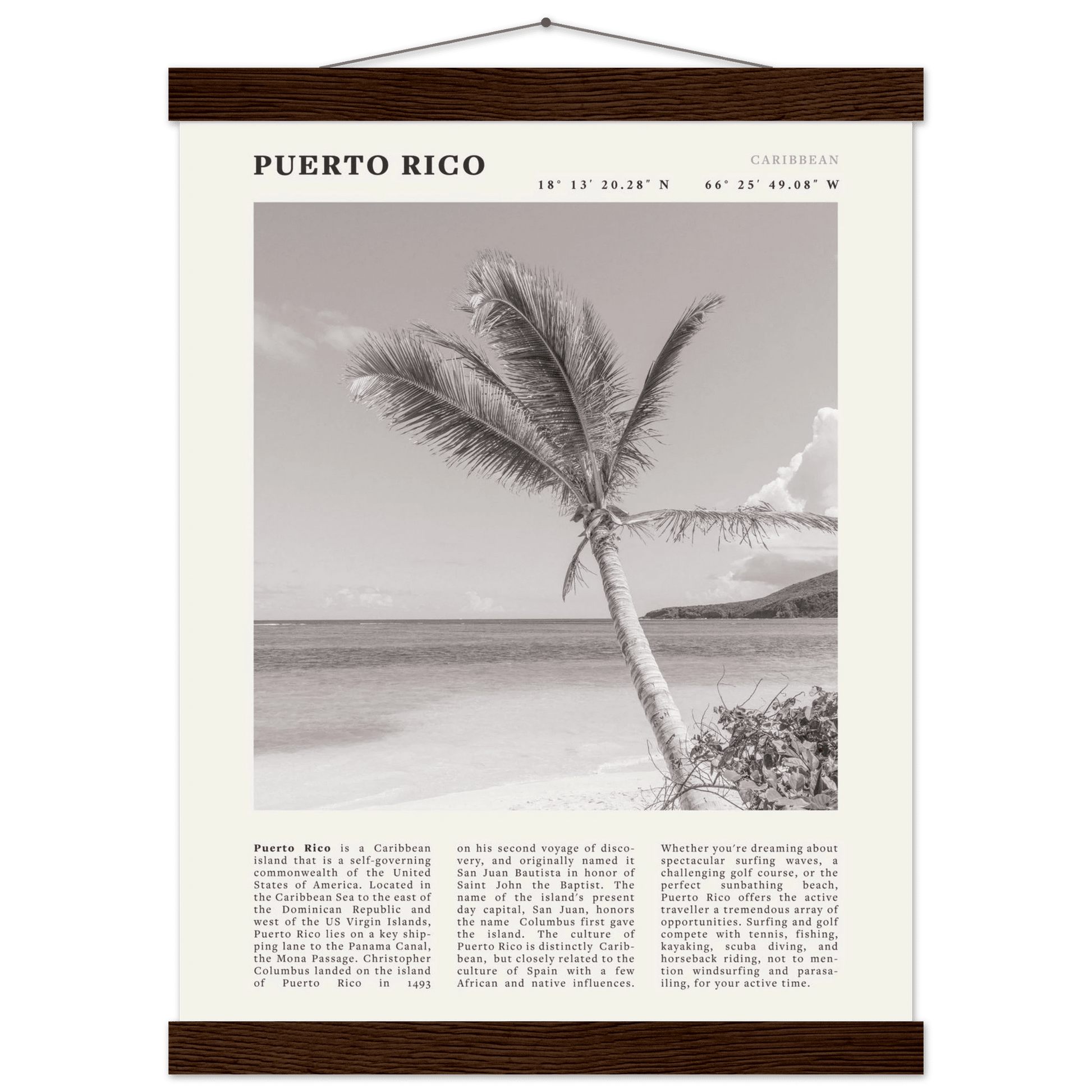 Puerto Rico Poster Black and White – Vintage Caribbean Palm Beach Print (Digital & Printed Options) - Evergreen Posters