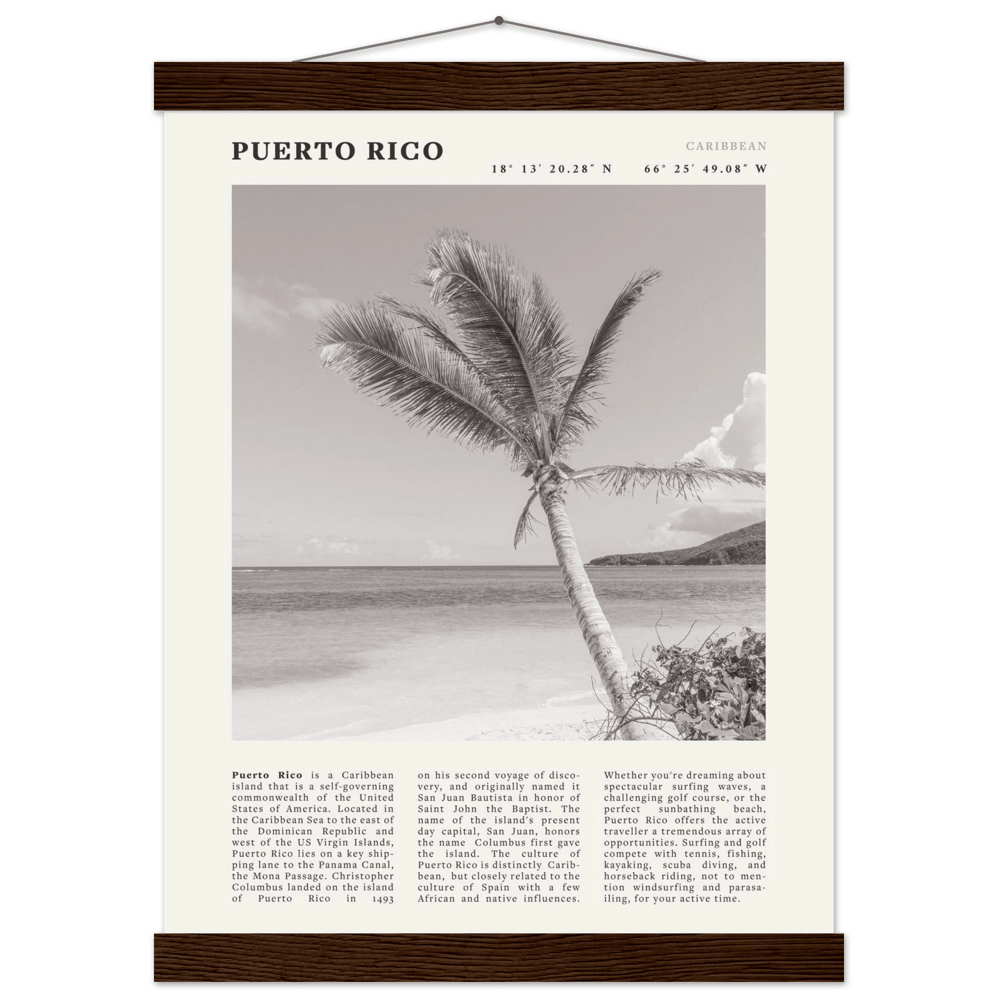 Puerto Rico Poster Black and White – Vintage Caribbean Palm Beach Print (Digital & Printed Options) - Evergreen Posters
