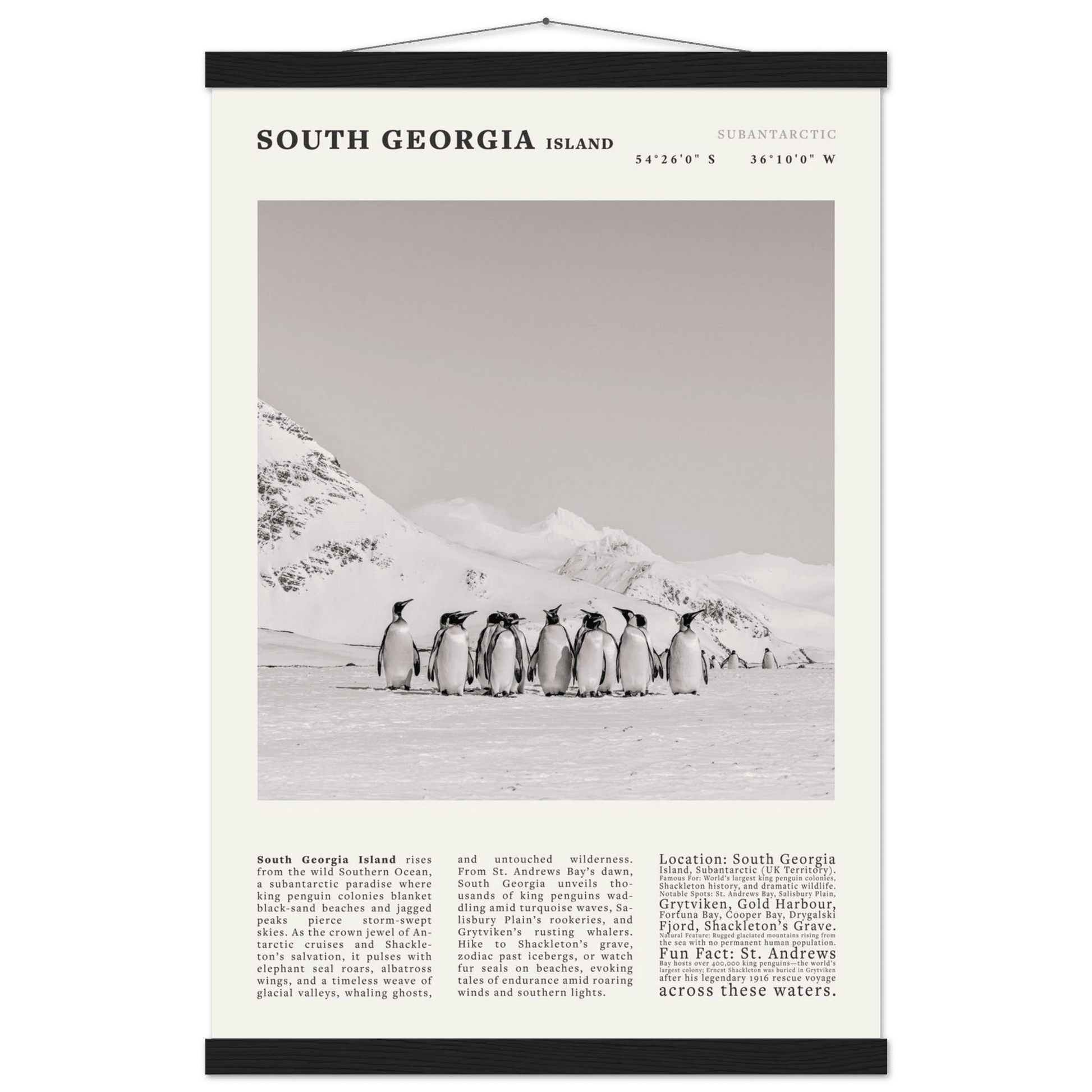 South Georgia Island Black and White Vintage Poster - Evergreen Posters