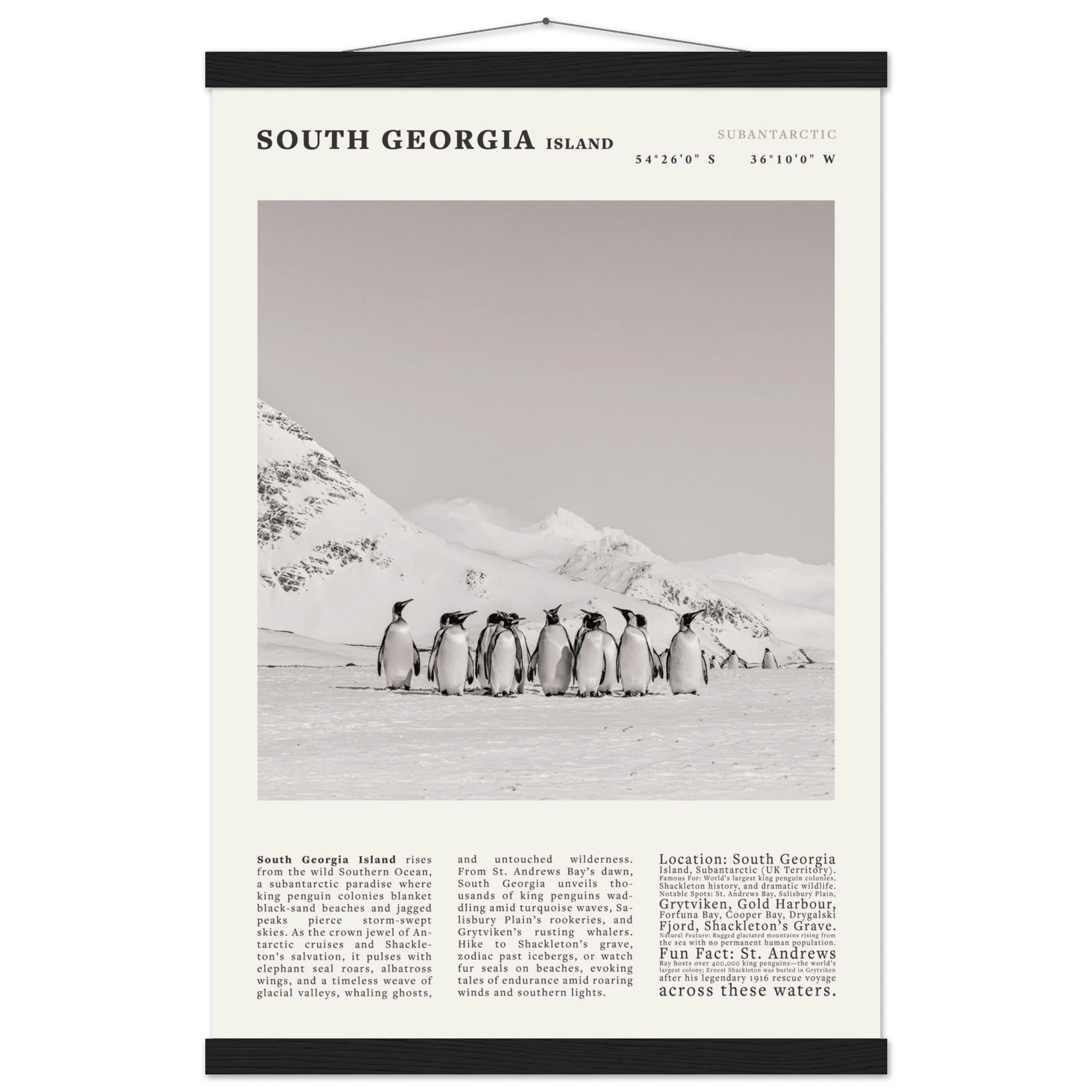 South Georgia Island Black and White Vintage Poster - Evergreen Posters