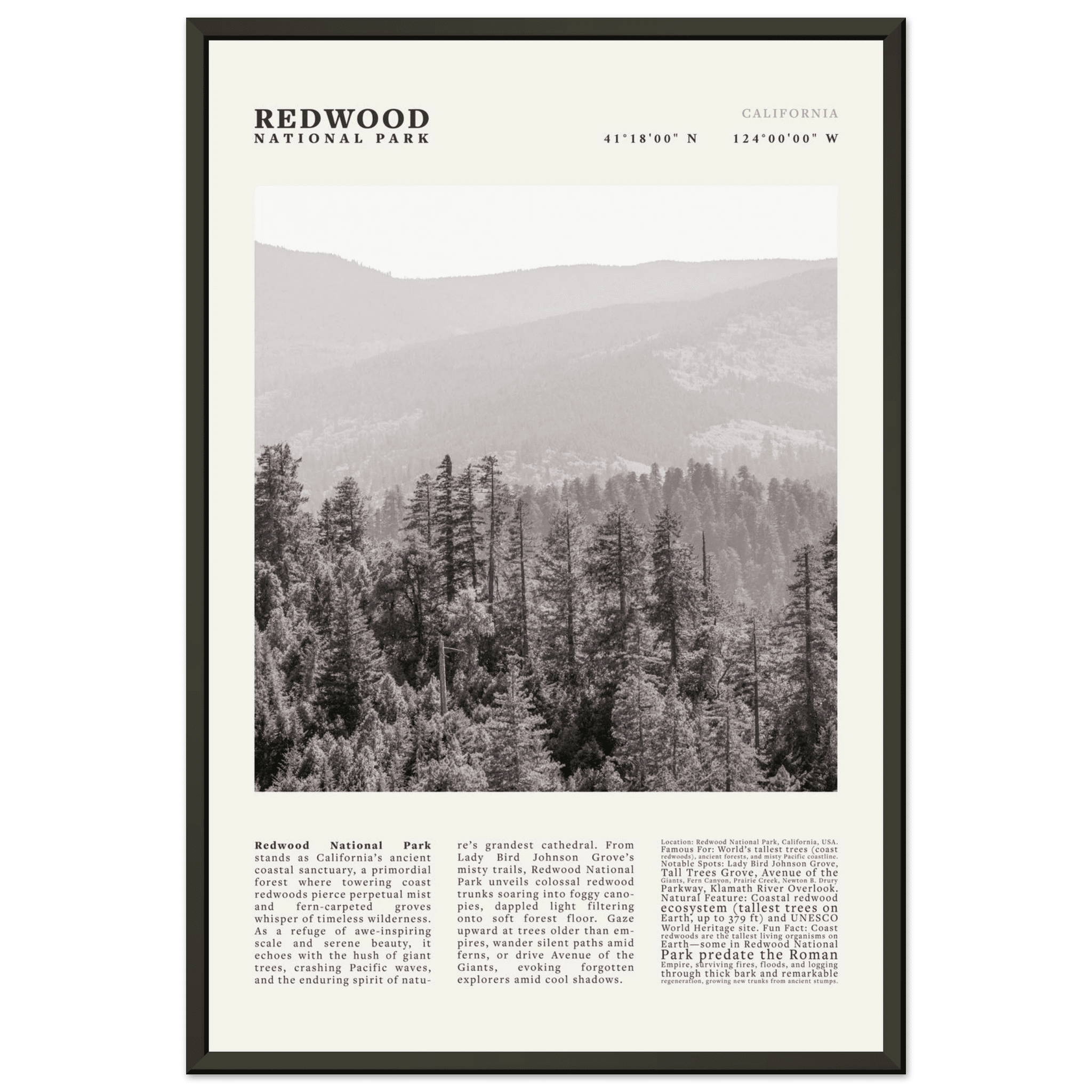 Redwood National Park Poster Black and White – Vintage Foggy Redwood Forest Print - Evergreen Posters