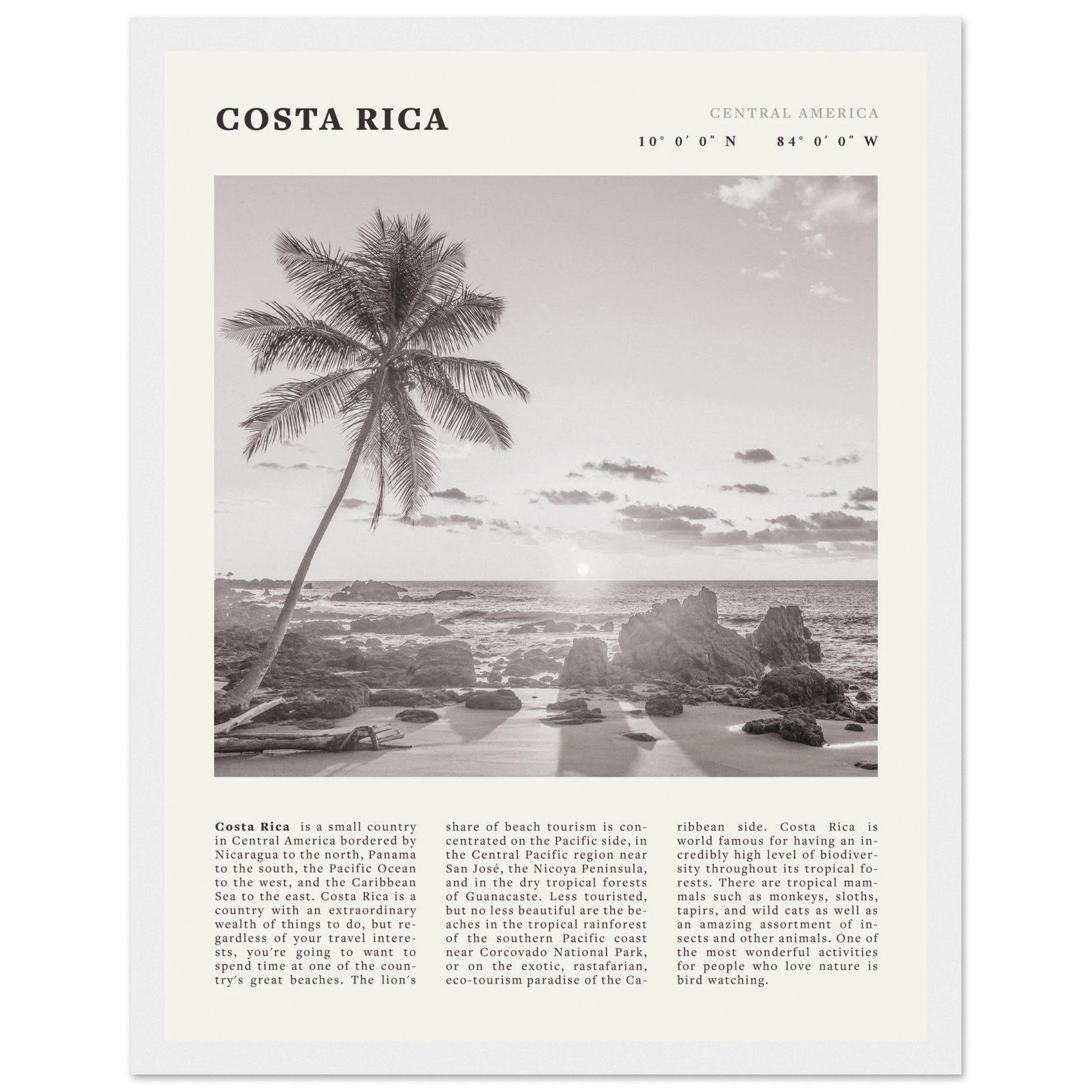 Costa Rica Poster | Black & White Palm Tree Beach Wall Art | Travel Print Decor - Evergreen Posters