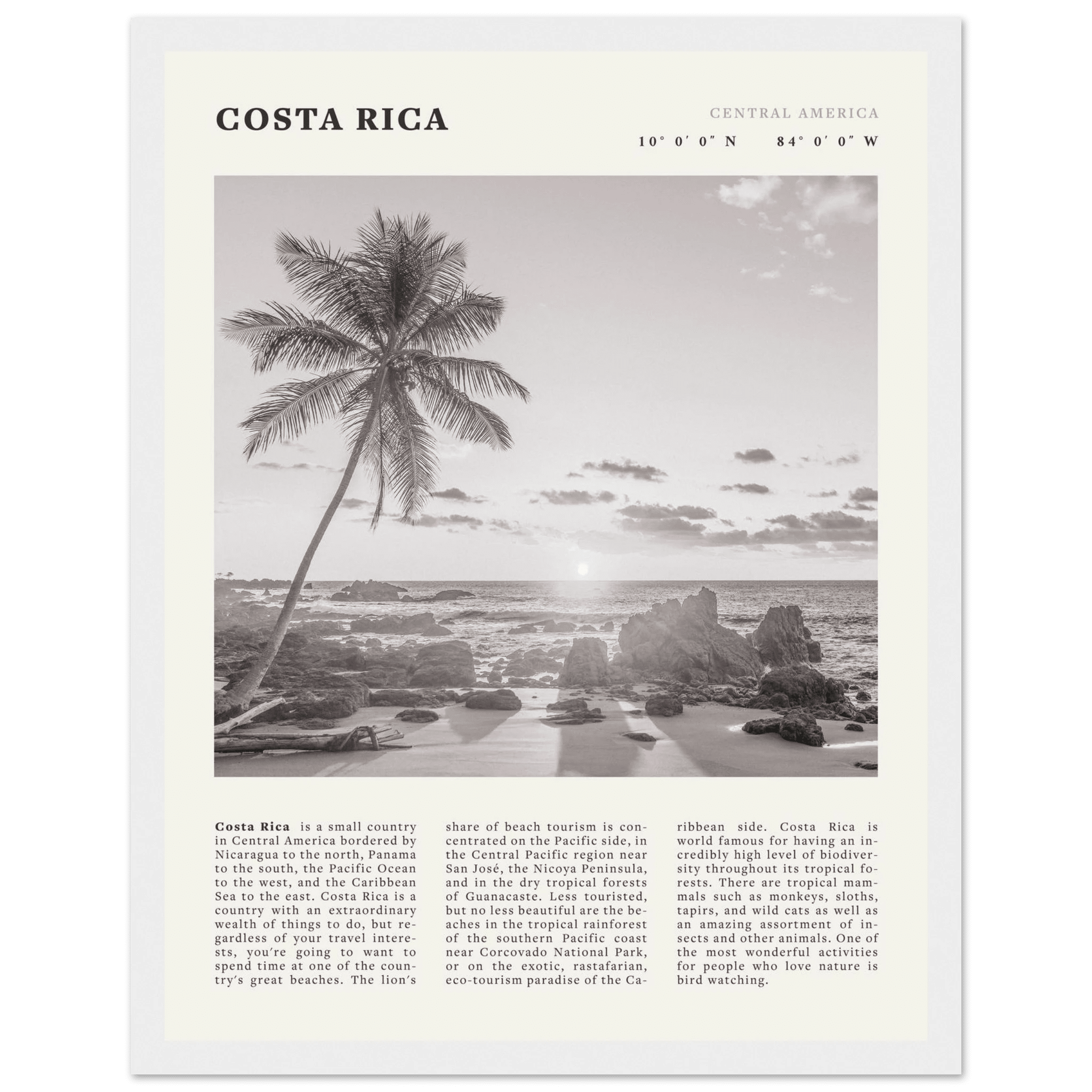 Costa Rica Poster | Black & White Palm Tree Beach Wall Art | Travel Print Decor - Evergreen Posters
