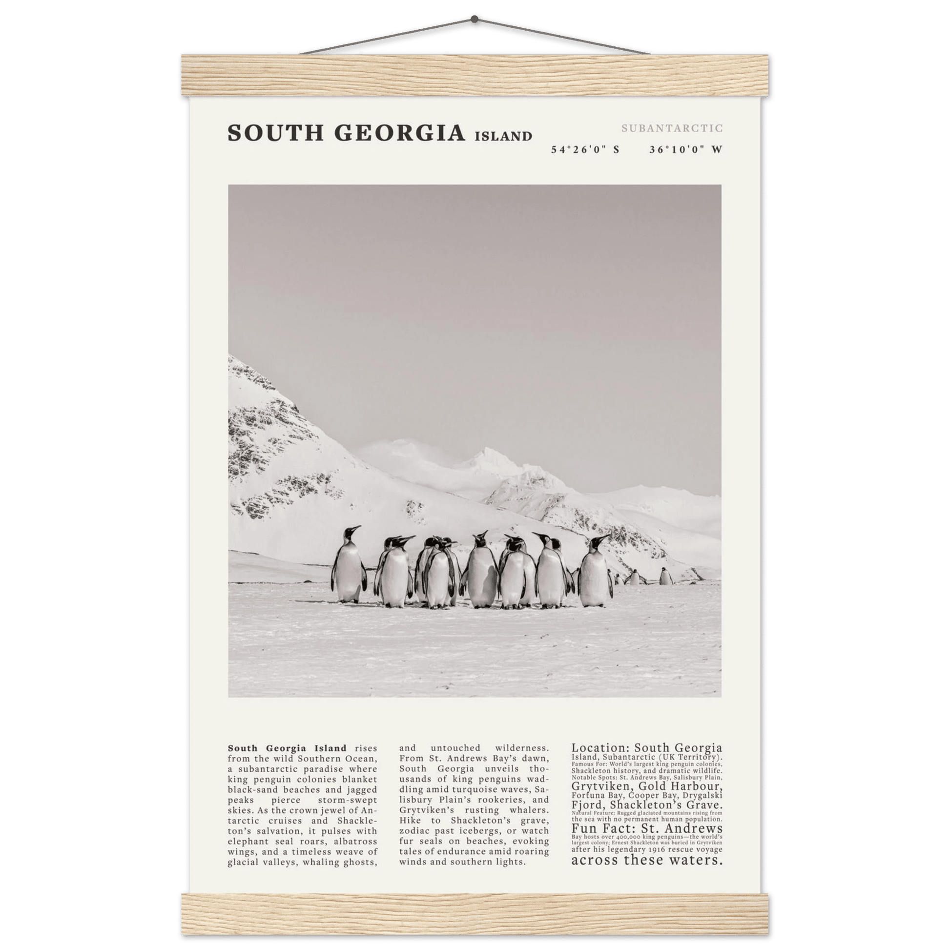 South Georgia Island Black and White Vintage Poster - Evergreen Posters