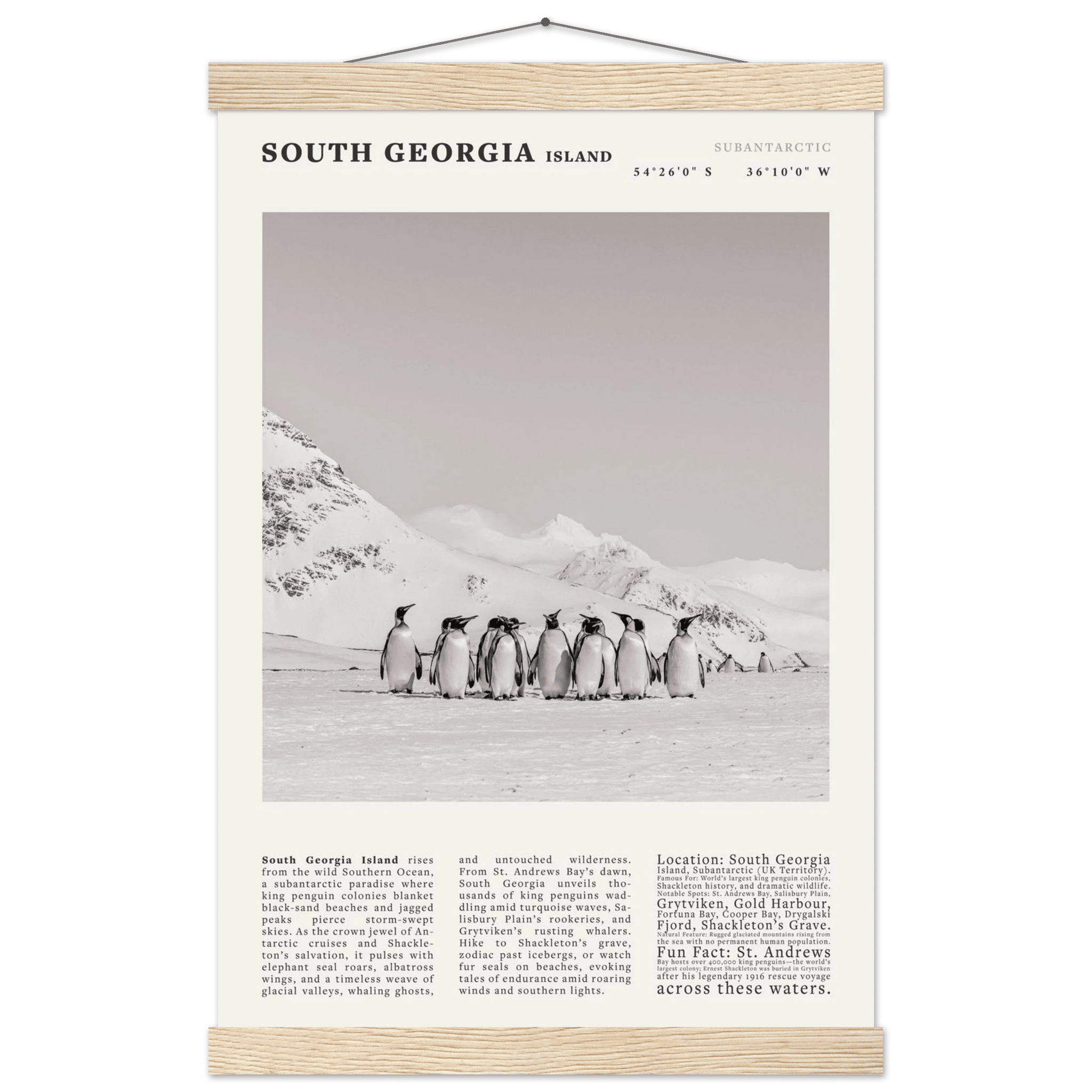 South Georgia Island Black and White Vintage Poster - Evergreen Posters