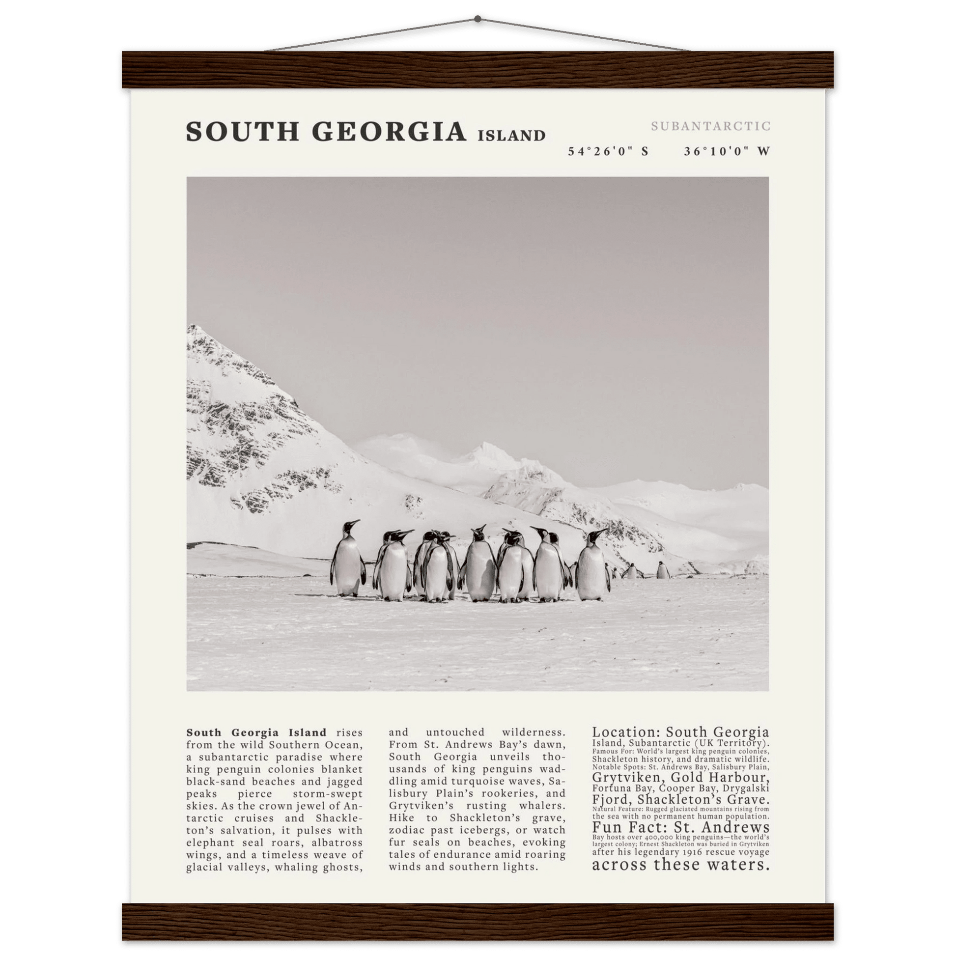 South Georgia Island Black and White Vintage Poster - Evergreen Posters