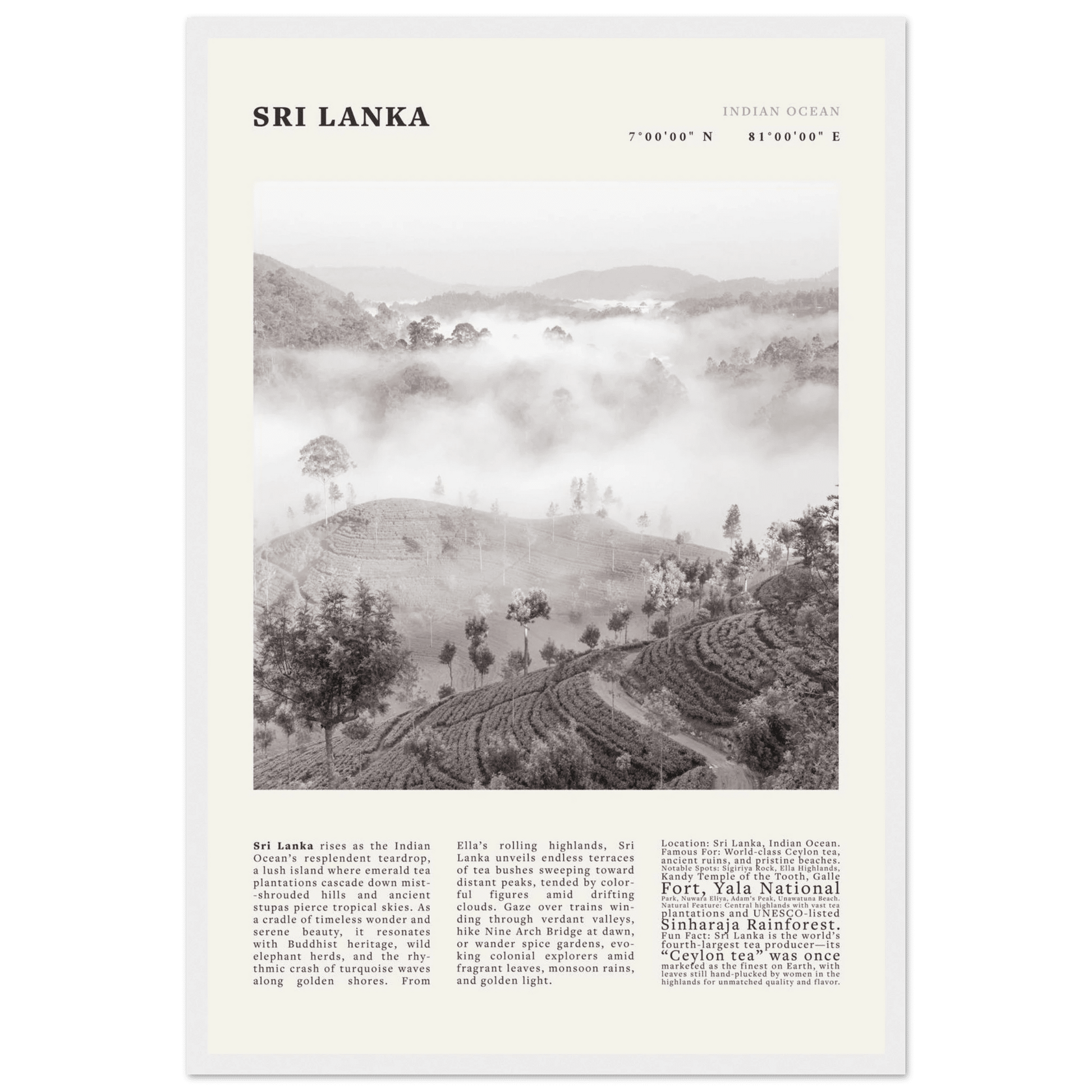 Sri Lanka Poster Black and White – Vintage Ceylon Tea Plantation Print (Digital & Printed Options) - Evergreen Posters
