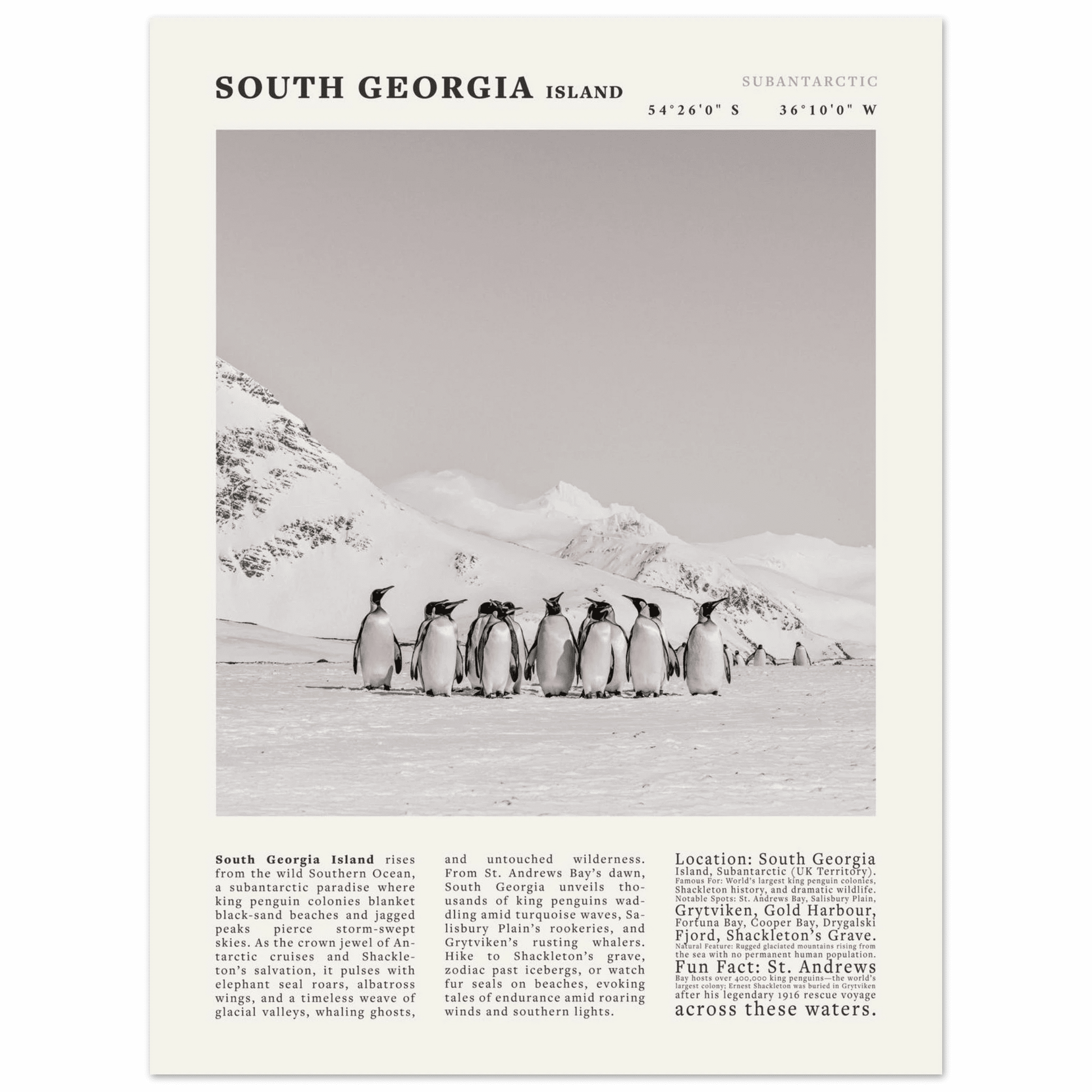 South Georgia Island Black and White Vintage Poster - Evergreen Posters