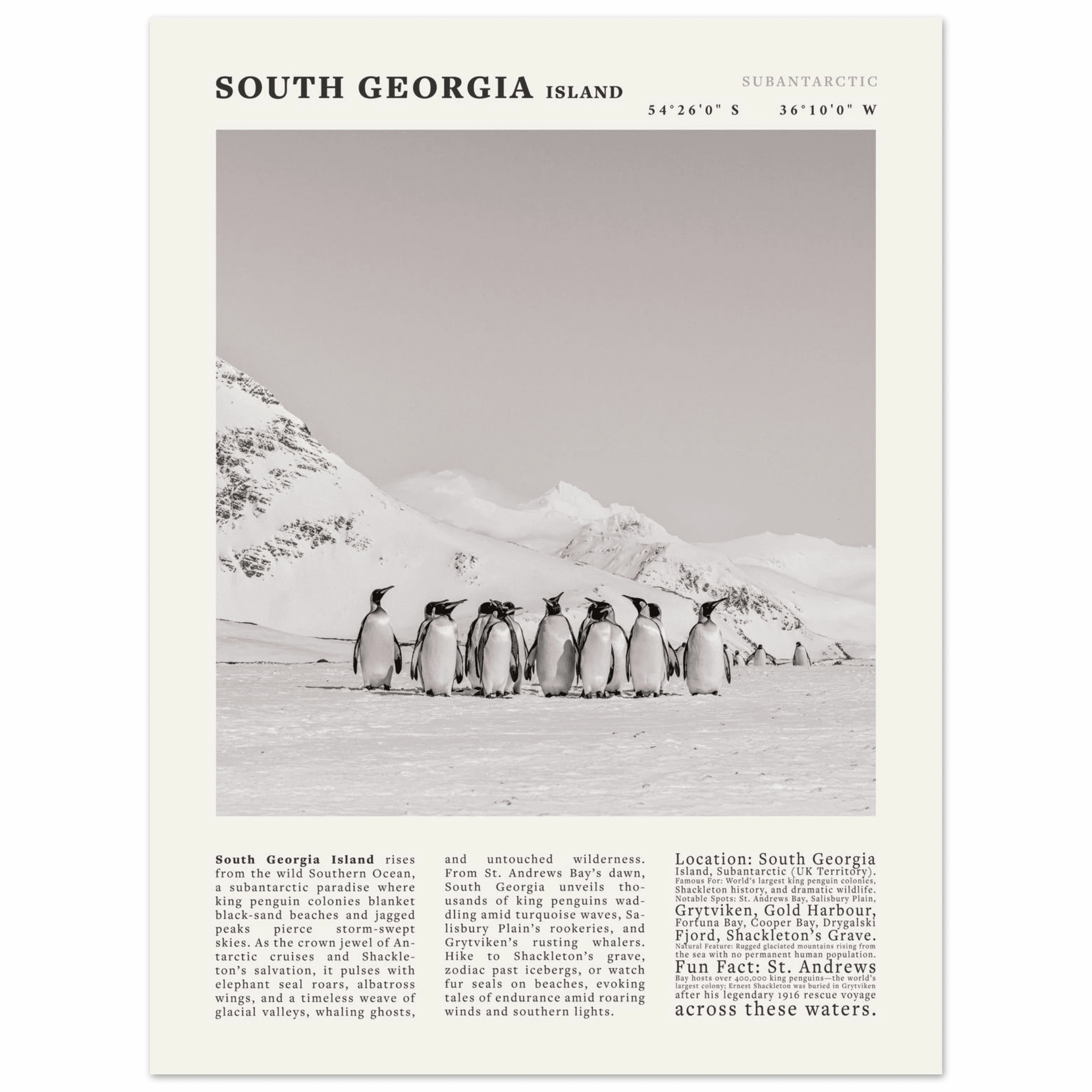 South Georgia Island Black and White Vintage Poster - Evergreen Posters