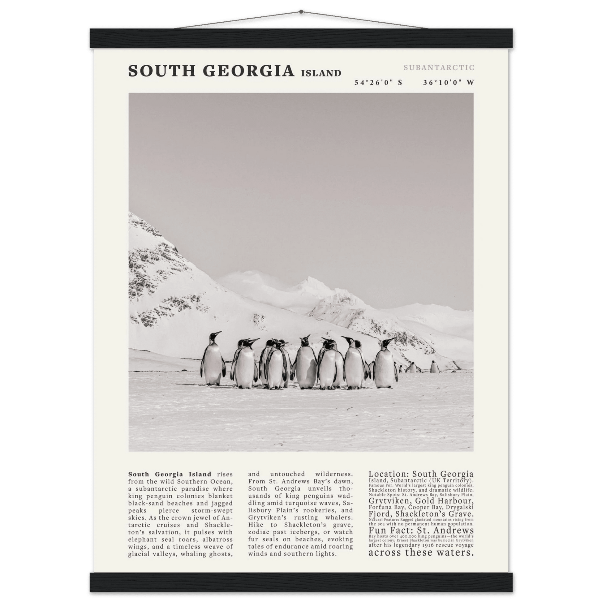 South Georgia Island Black and White Vintage Poster - Evergreen Posters