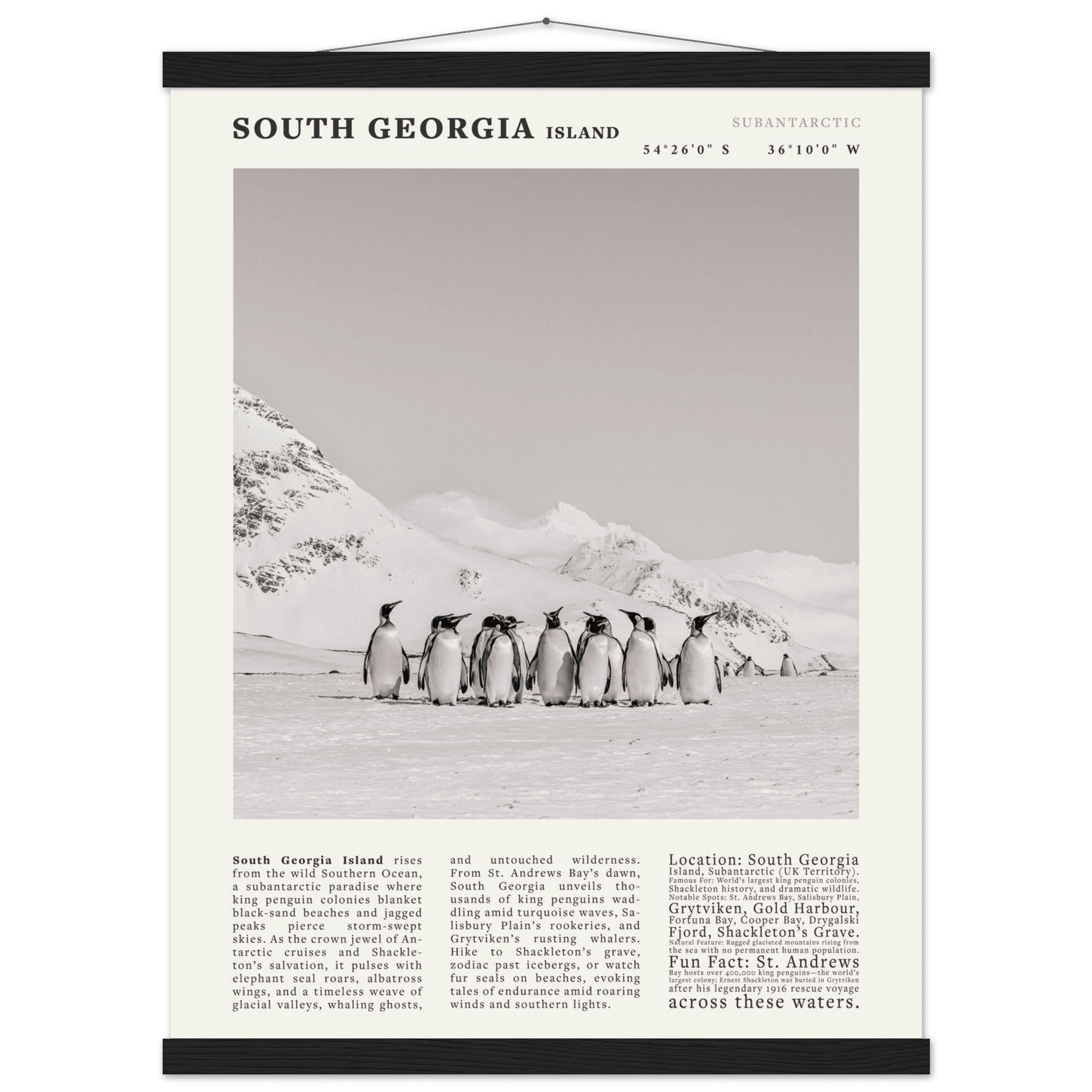 South Georgia Island Black and White Vintage Poster - Evergreen Posters