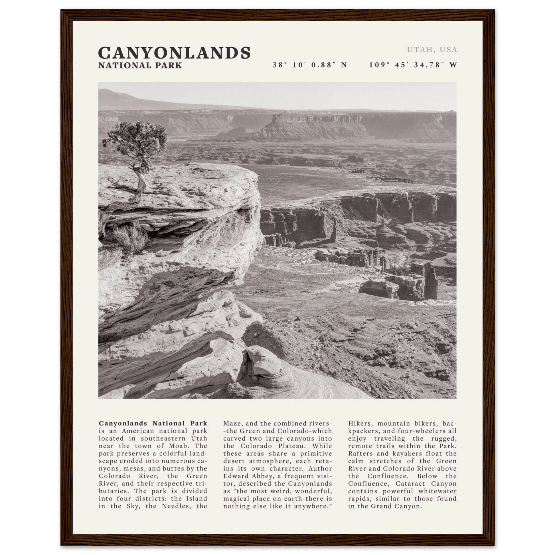 Canyonlands National Park Poster | Black & White Utah Wall Art | Canyon Travel Print - Evergreen Posters