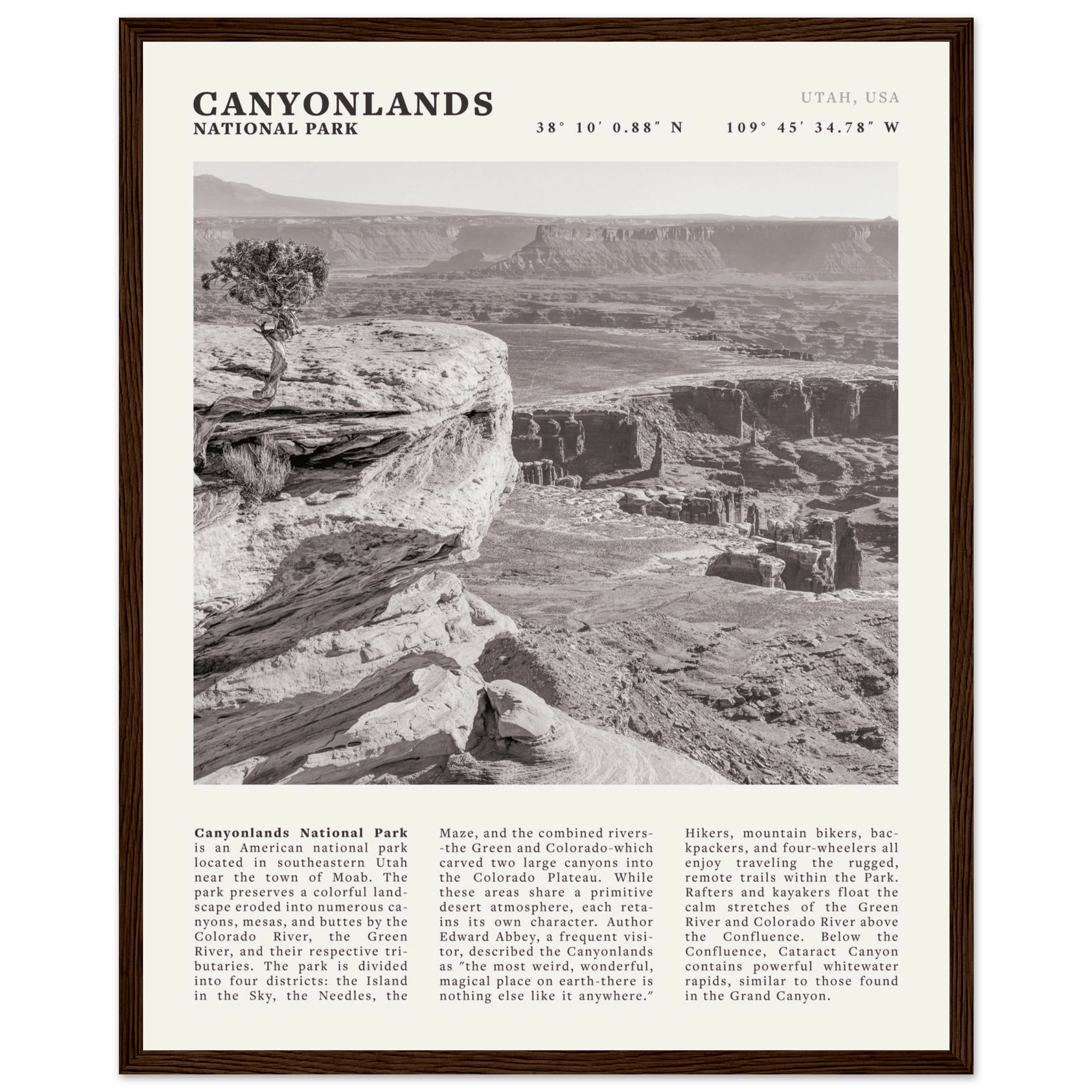 Canyonlands National Park Poster | Black & White Utah Wall Art | Canyon Travel Print - Evergreen Posters